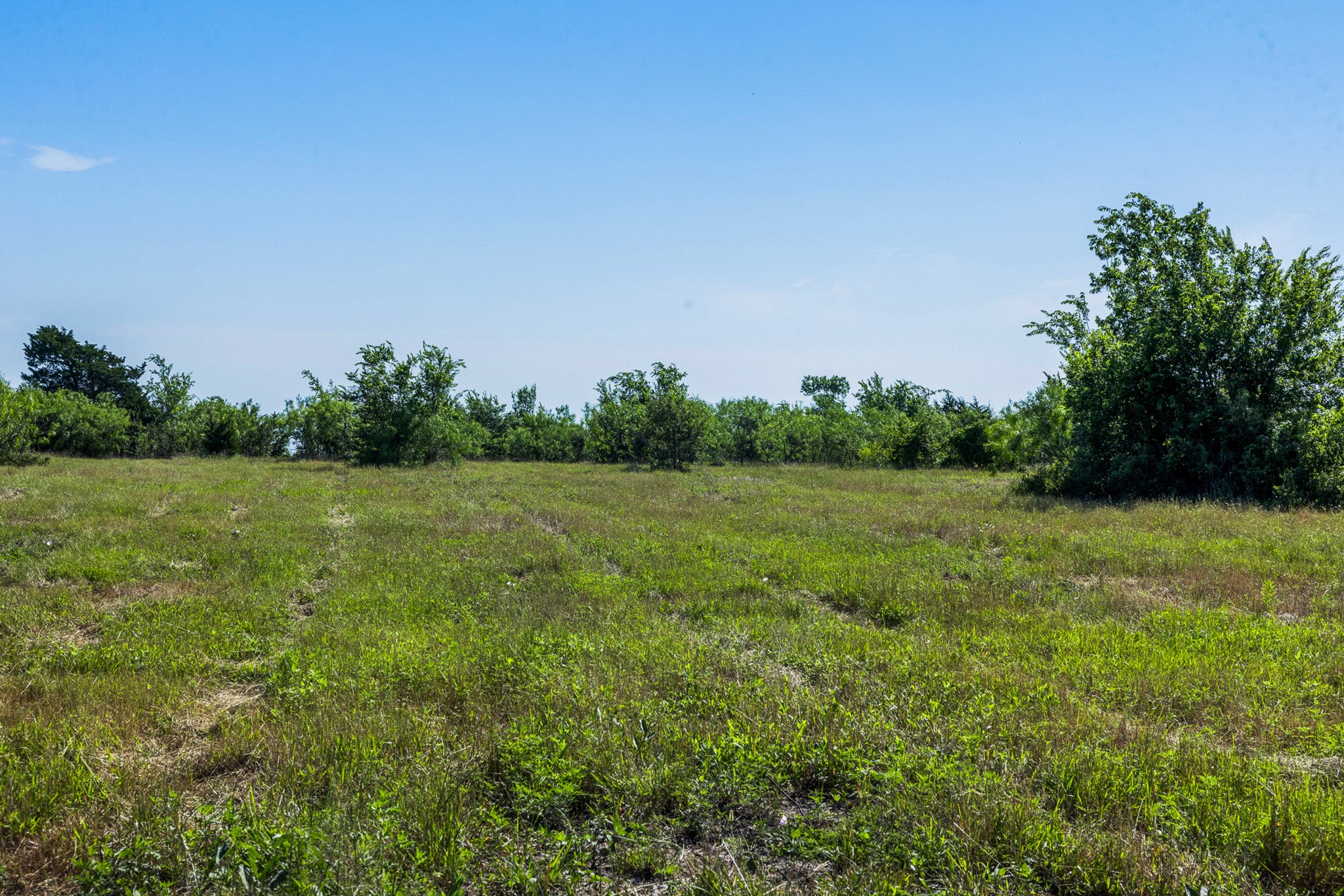 Tract 2 Tbd Lcr 392 Groesbeck TX 76642