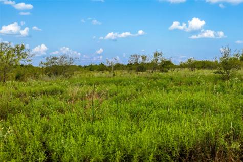 Tract 2 Tbd Lcr 392 Groesbeck TX 76642
