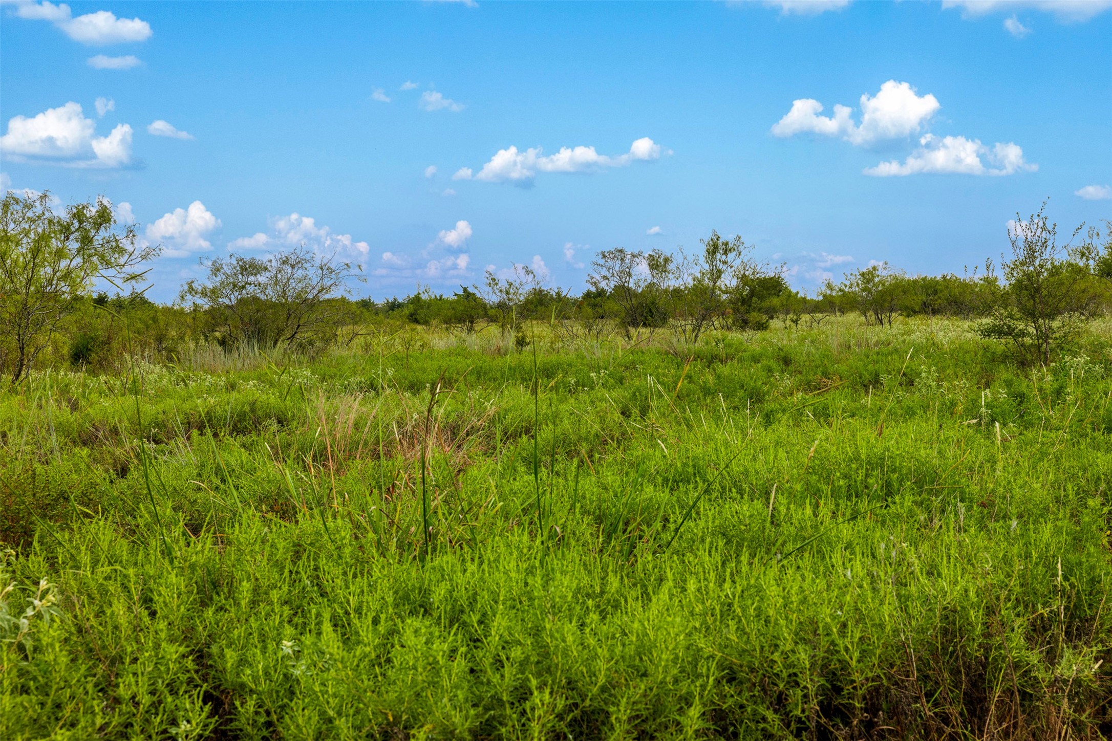 Tract 2 Tbd Lcr 392 Groesbeck TX 76642