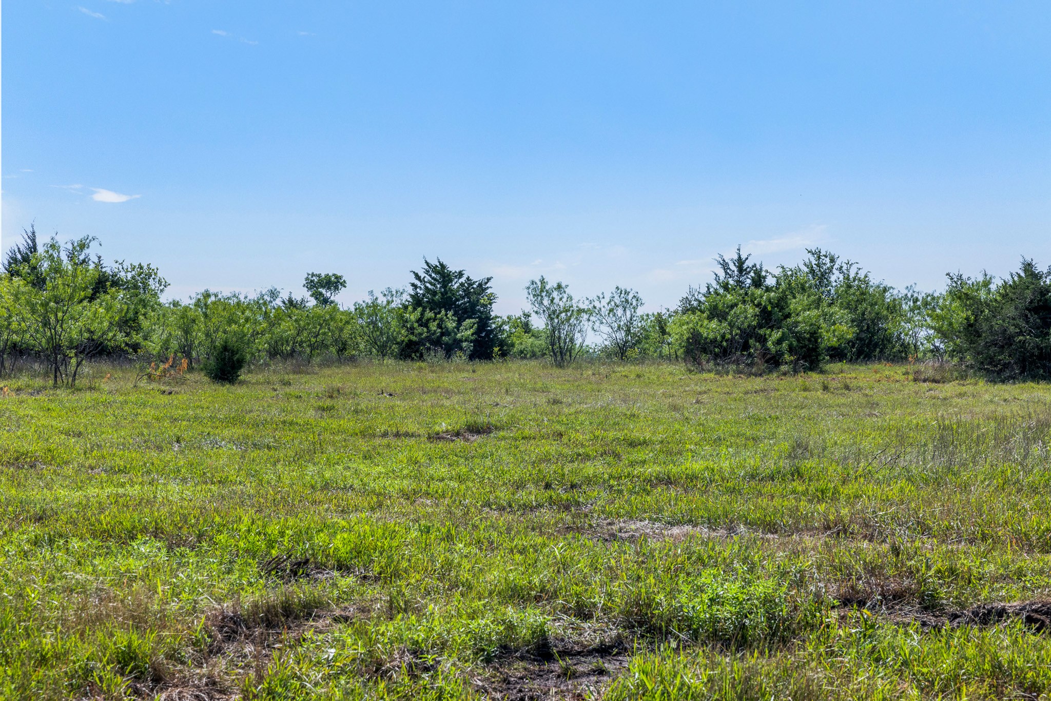 Tract 2 Tbd Lcr 392 Groesbeck TX 76642
