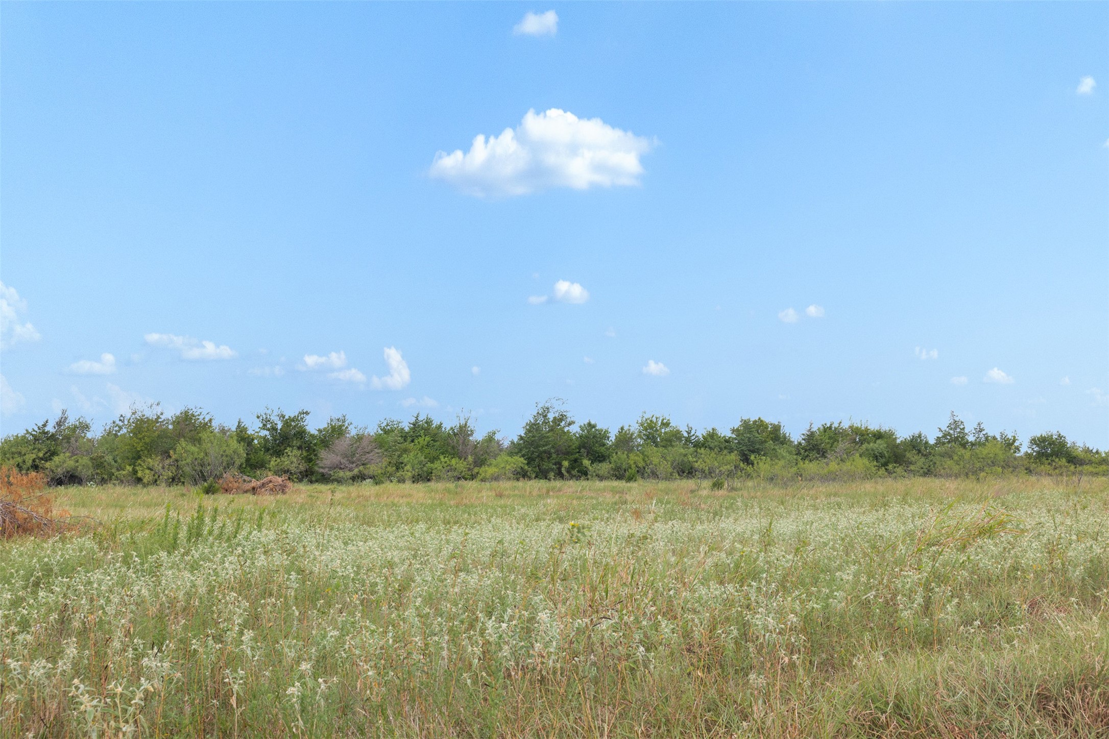 Tract 2 Tbd Lcr 392 Groesbeck TX 76642