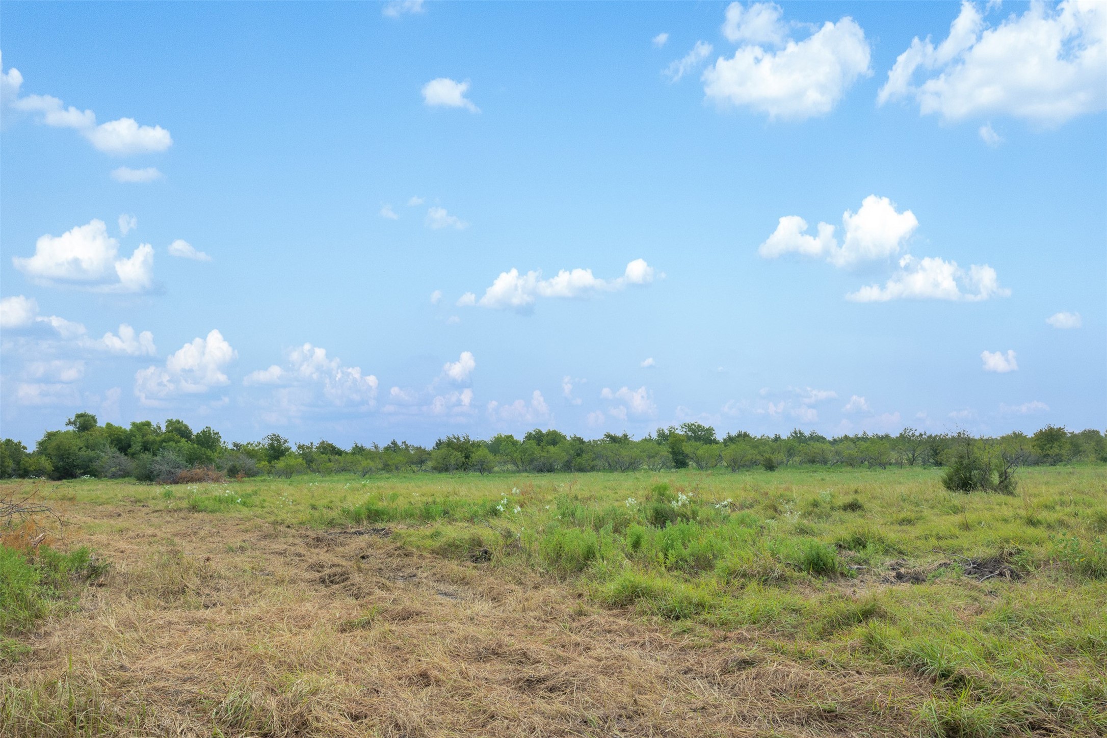 Tract 2 Tbd Lcr 392 Groesbeck TX 76642