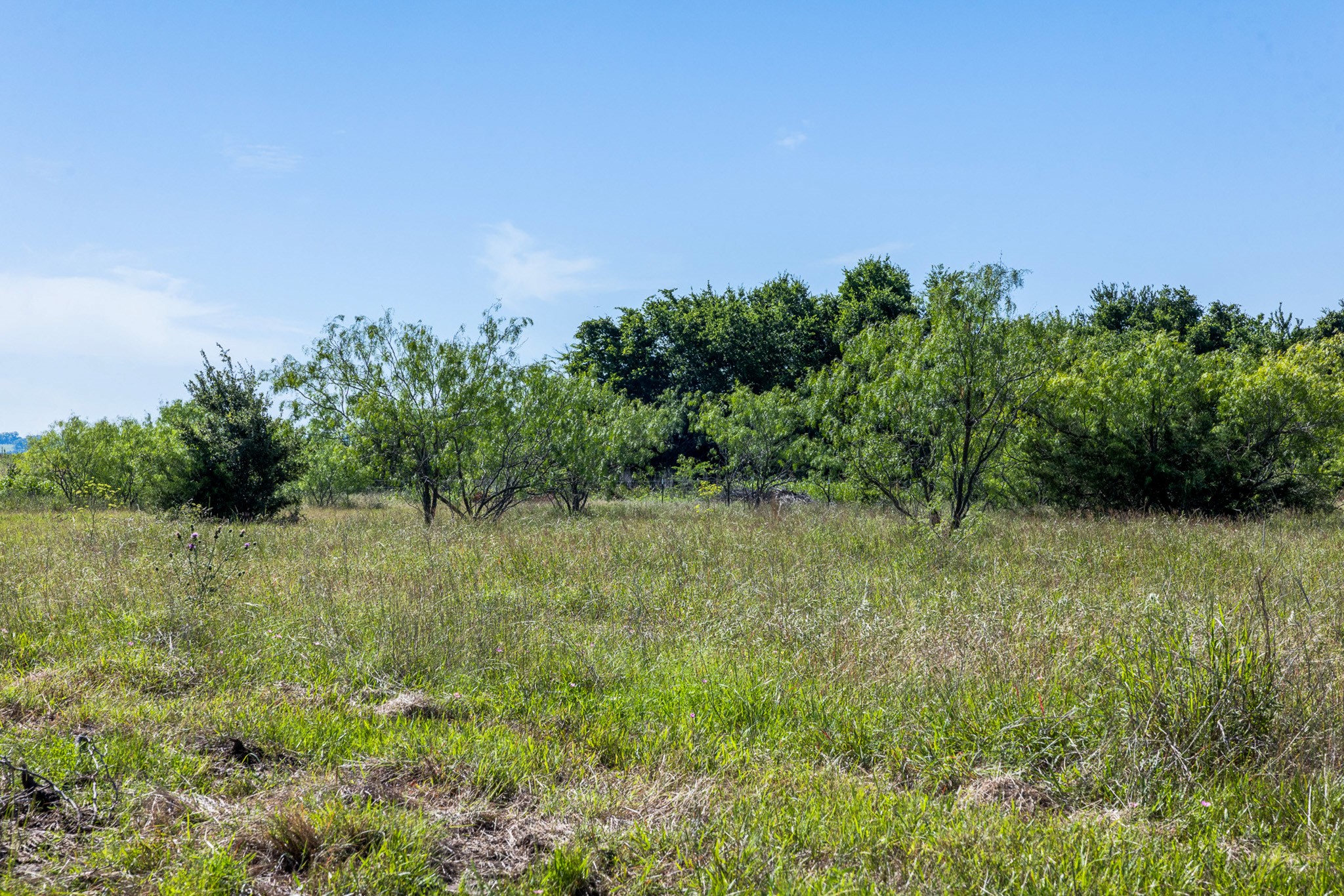 Tract 2 Tbd Lcr 392 Groesbeck TX 76642