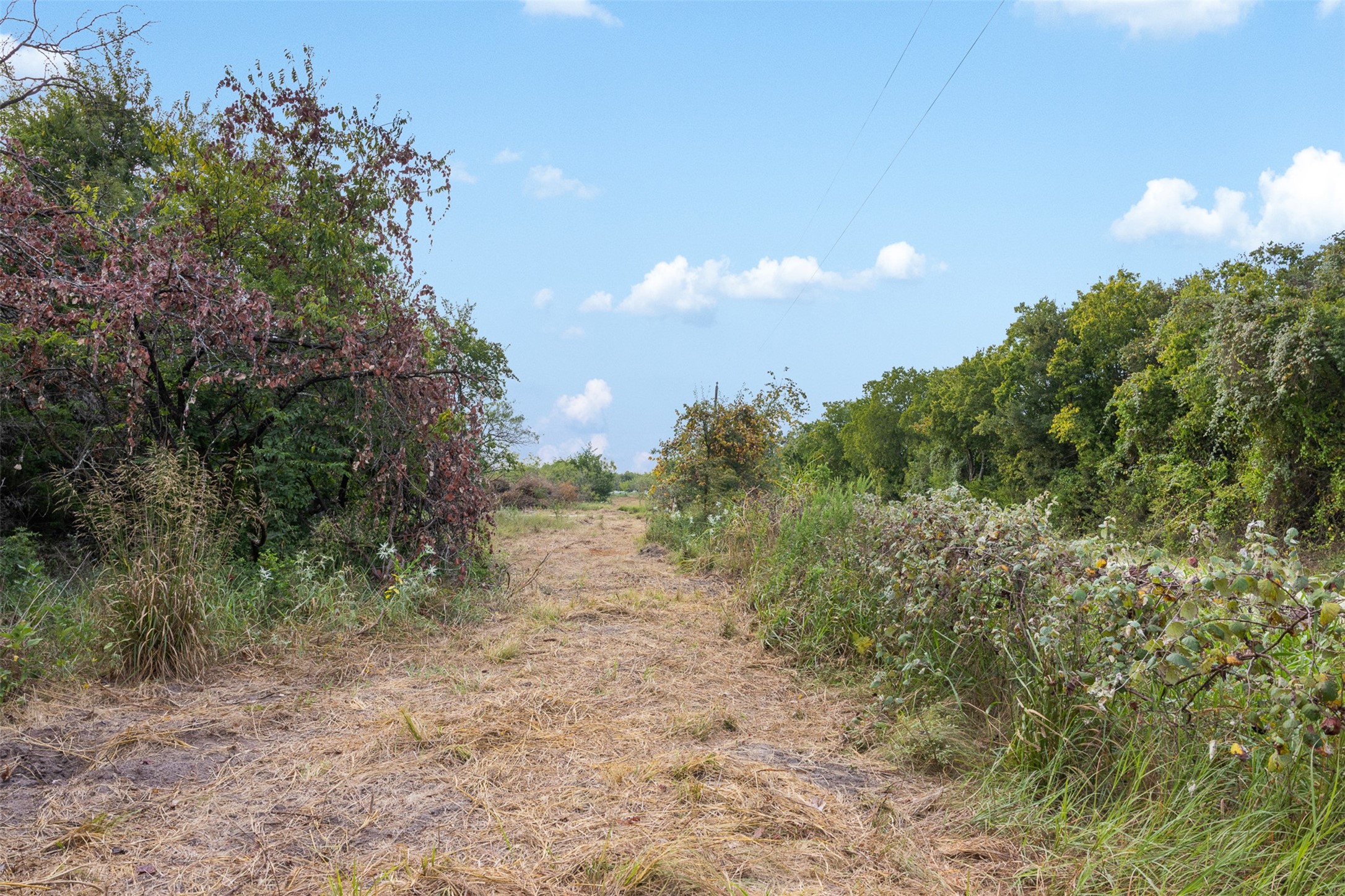 Tract 2 Tbd Lcr 392 Groesbeck TX 76642