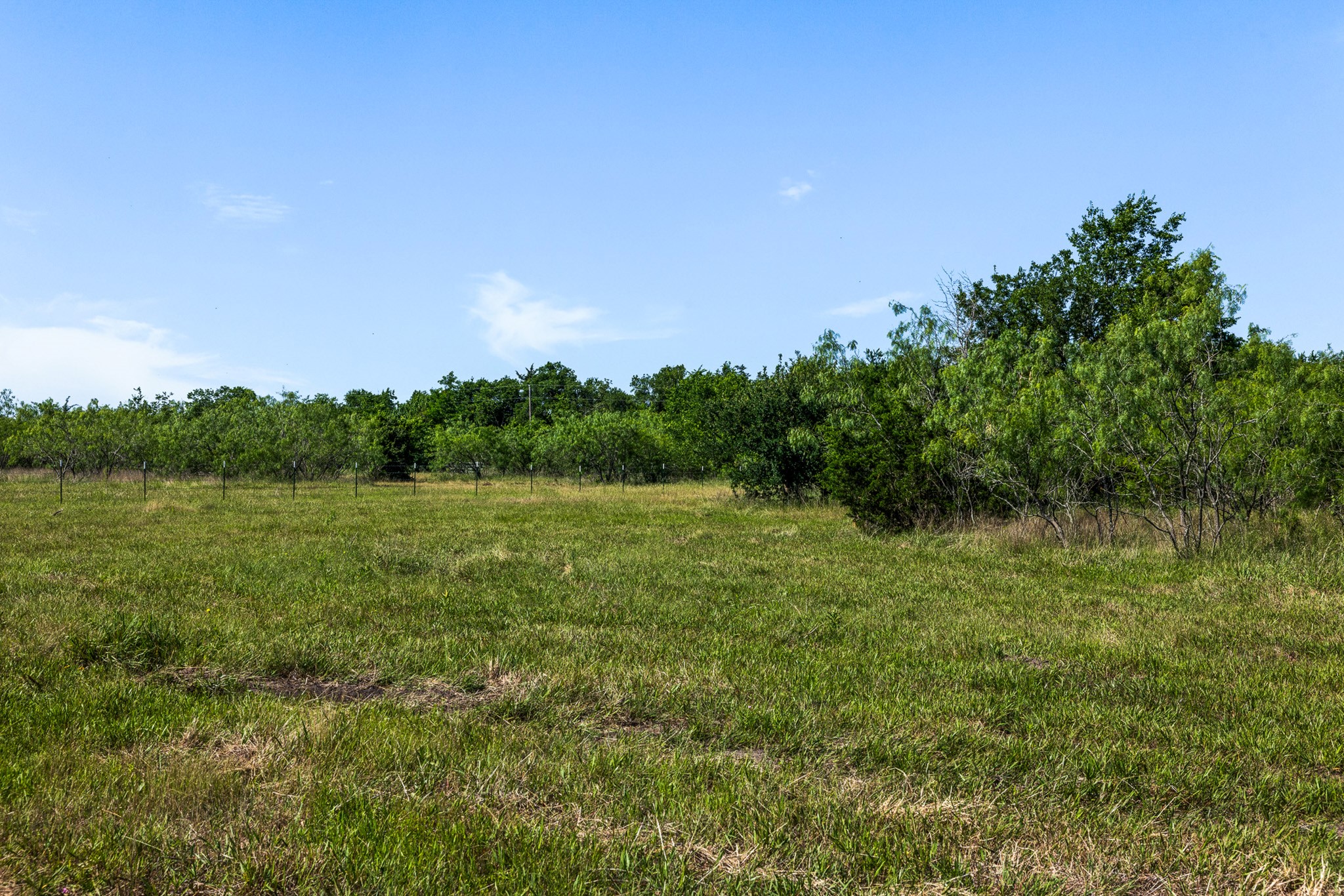 Tract 2 Tbd Lcr 392 Groesbeck TX 76642