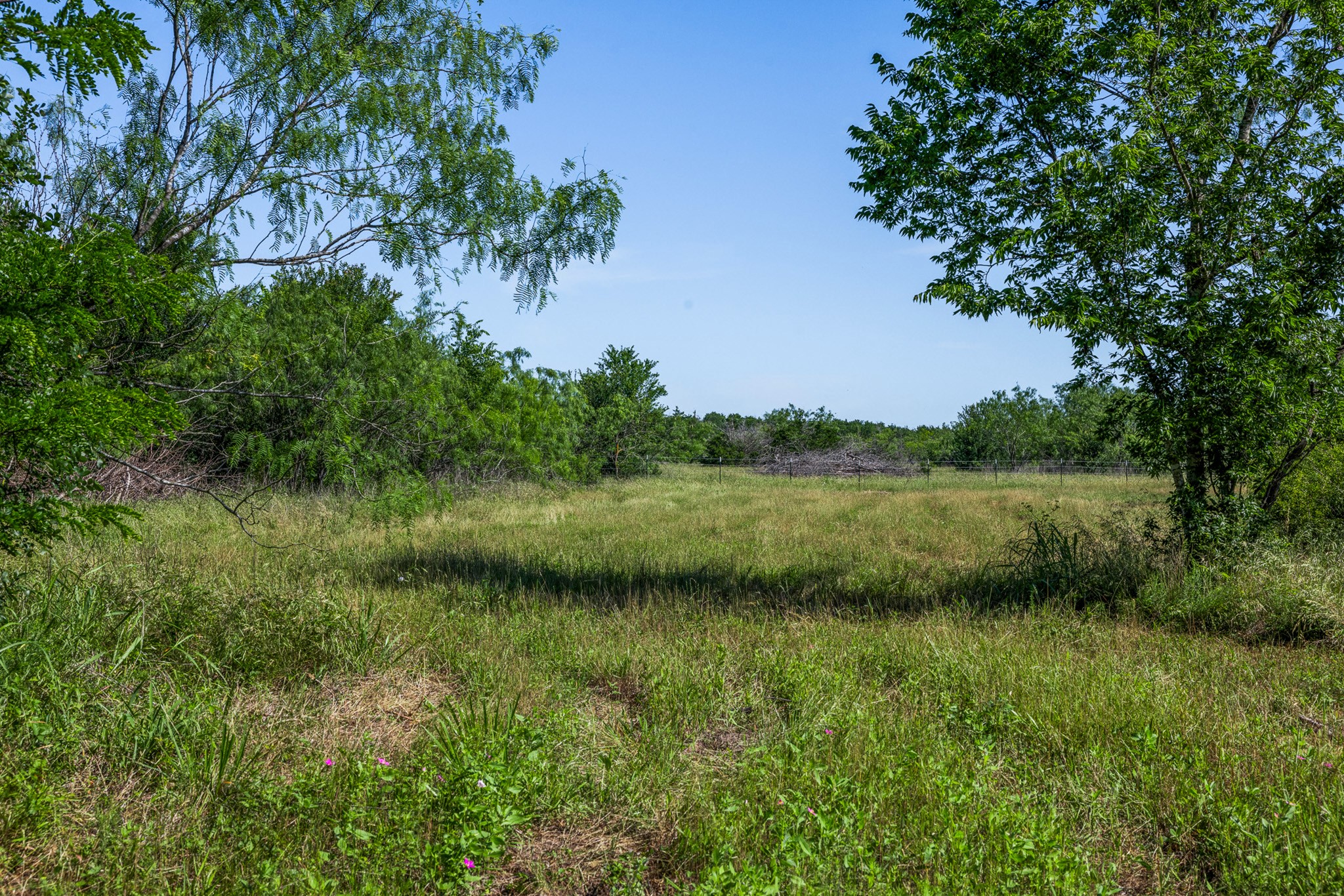 Tract 2 Tbd Lcr 392 Groesbeck TX 76642