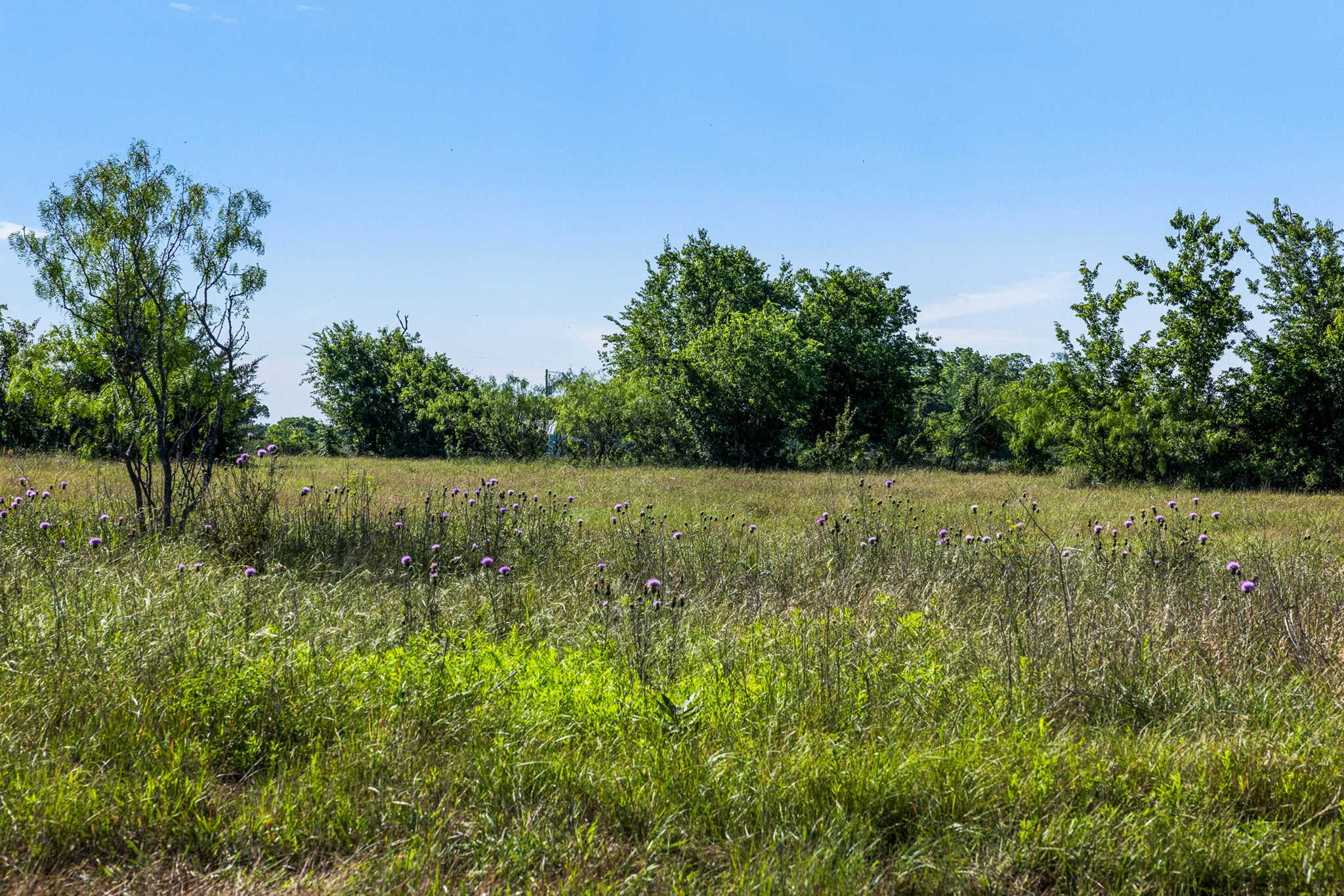 Tract 2 Tbd Lcr 392 Groesbeck TX 76642