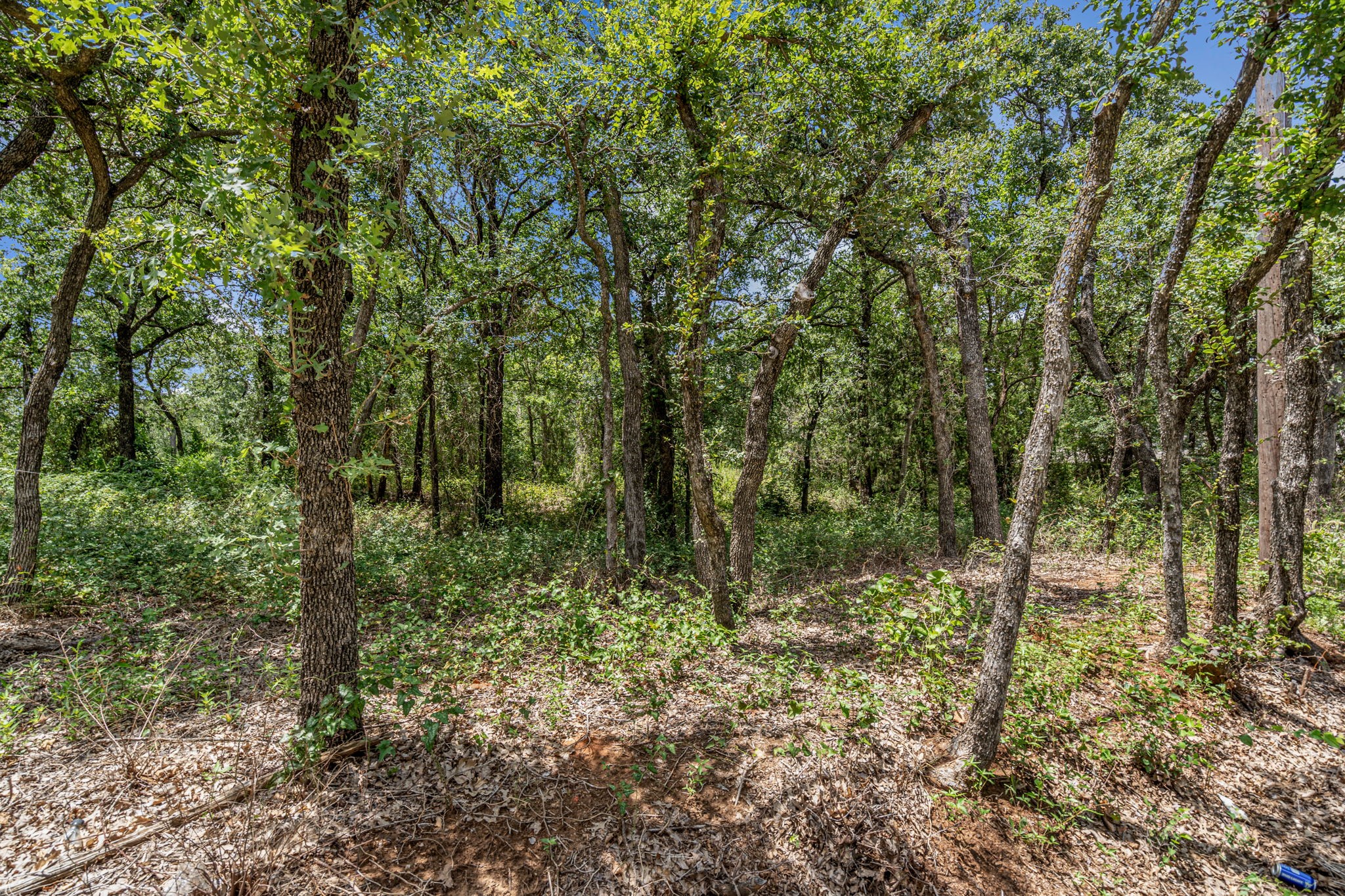 1963 Callender Road Mansfield TX 76063