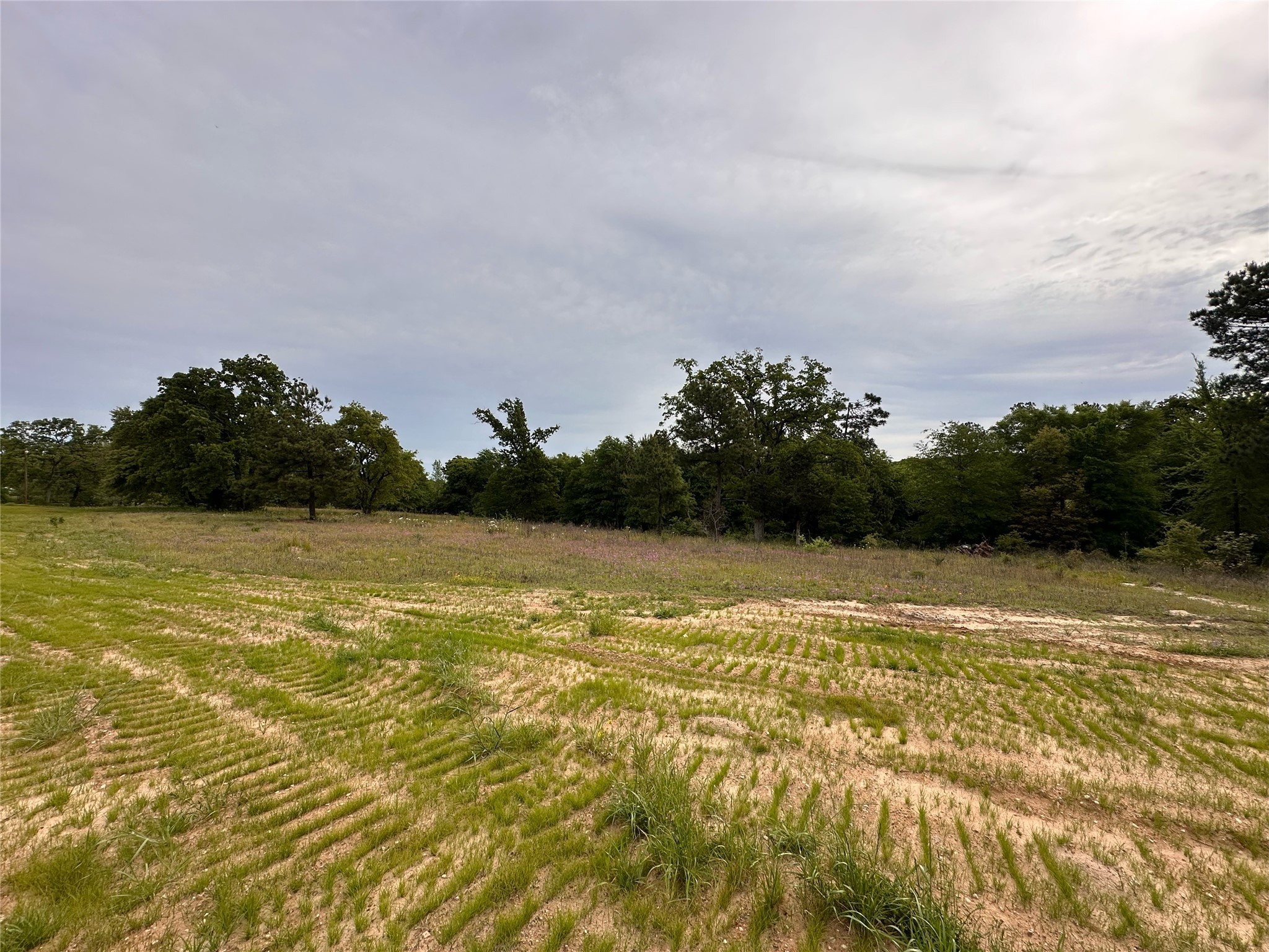 16944 Sawyer Way Lindale TX 75771