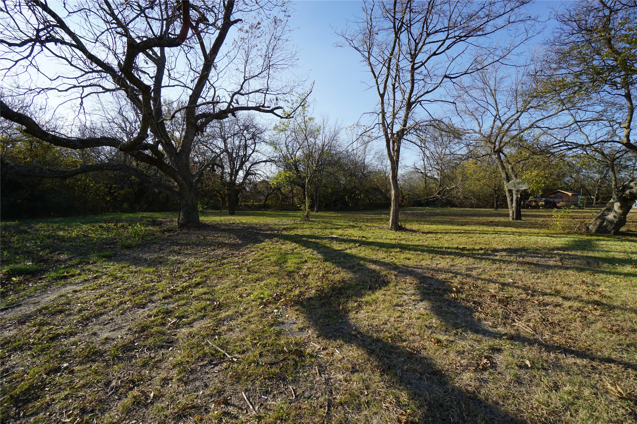 1227 Maple Street Bonham TX 75418
