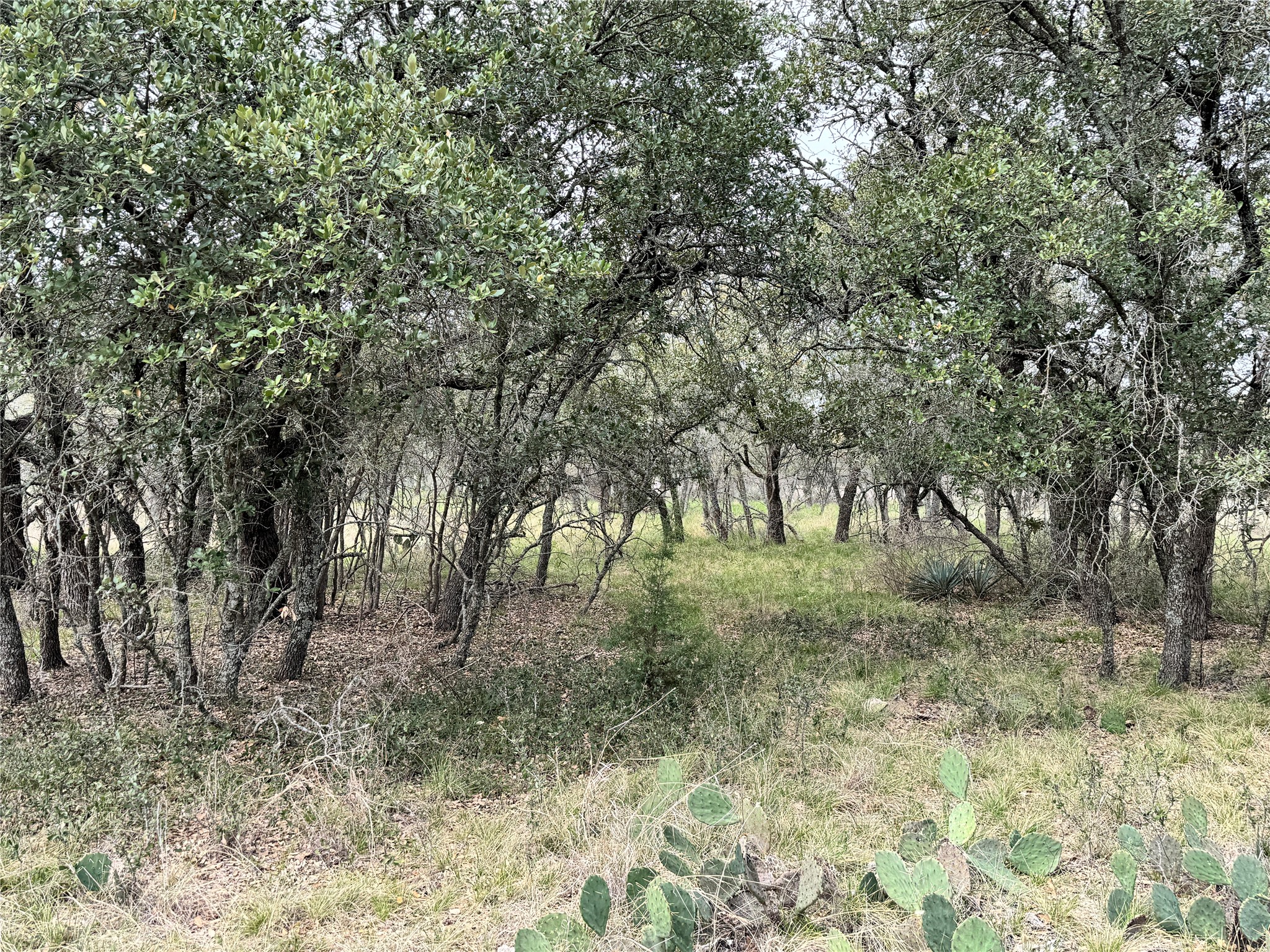 Tbd Lot 92 Cheryl Street Brownwood TX 76801
