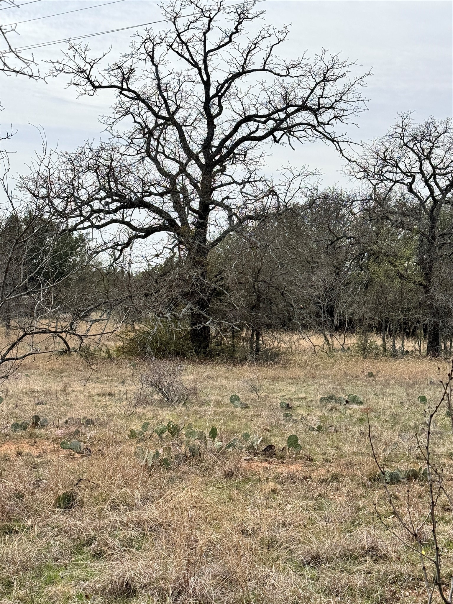 Tbd Lot 92 Cheryl Street Brownwood TX 76801