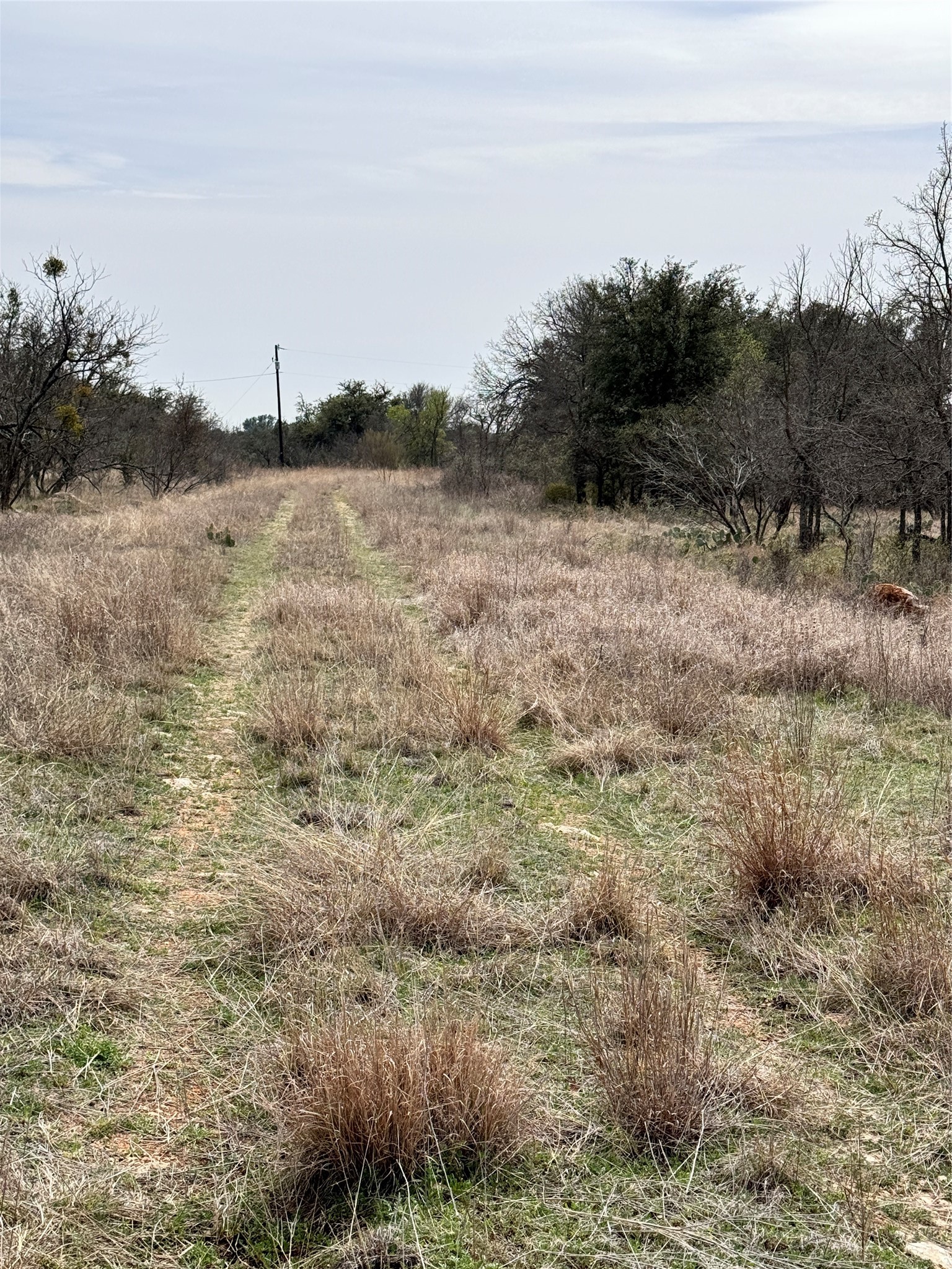 Tbd Lot 92 Cheryl Street Brownwood TX 76801