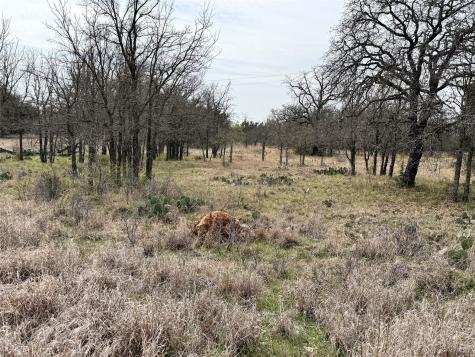 Tbd Lot 92 Cheryl Street Brownwood TX 76801