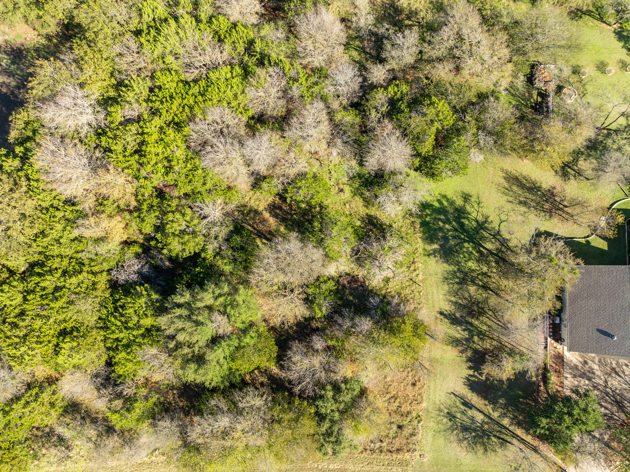 17124 Trailwood Drive Whitney TX 76692
