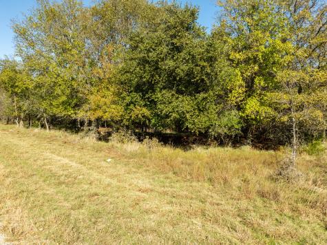 17124 Trailwood Drive Whitney TX 76692