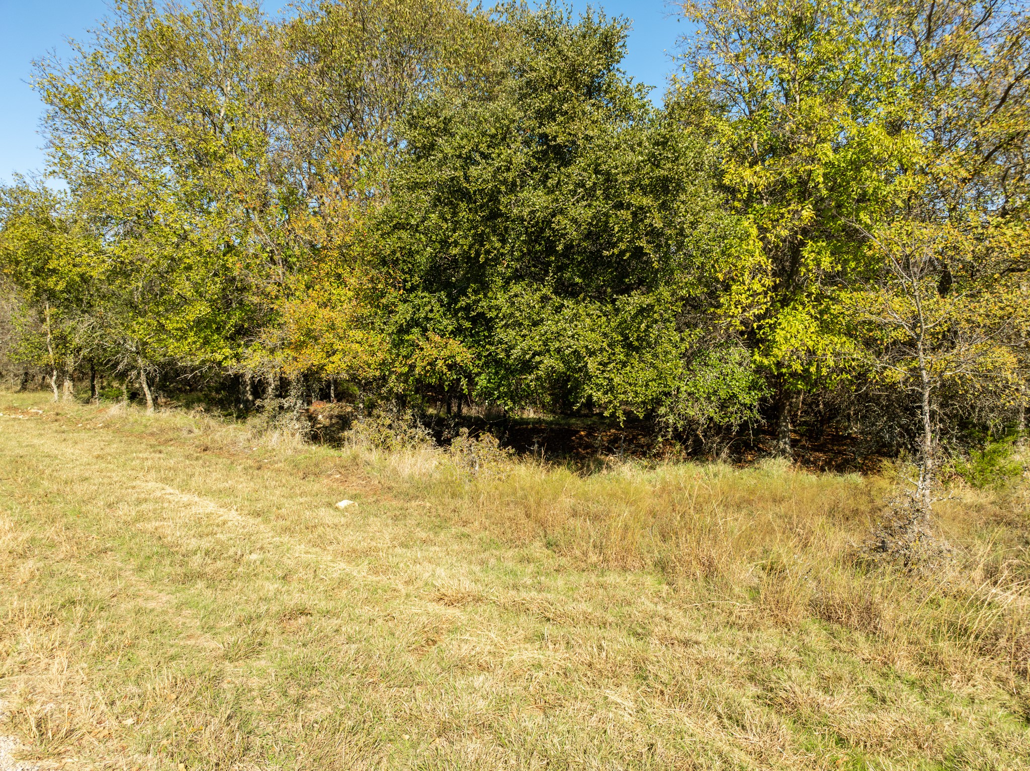 17124 Trailwood Drive Whitney TX 76692
