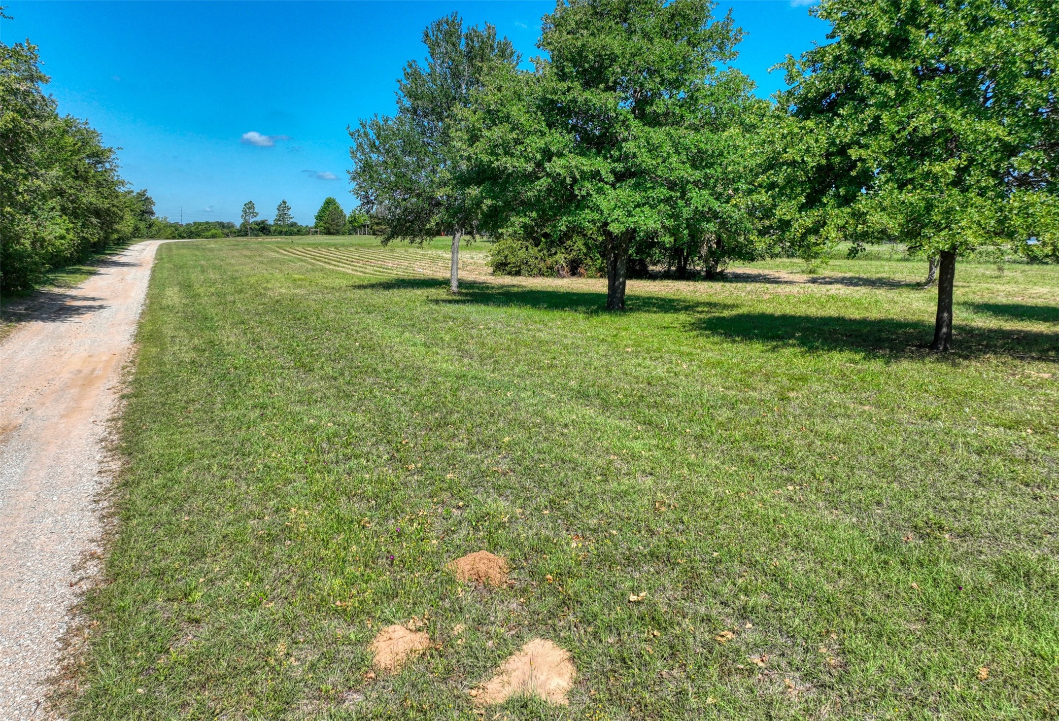 Tbd Fm 920 Poolville TX 76487