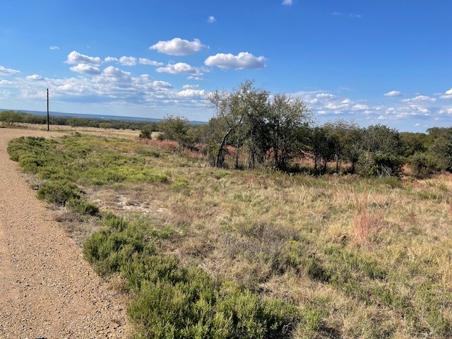 1150 Dps Tower Road #Lot 22 Perrin TX 76486
