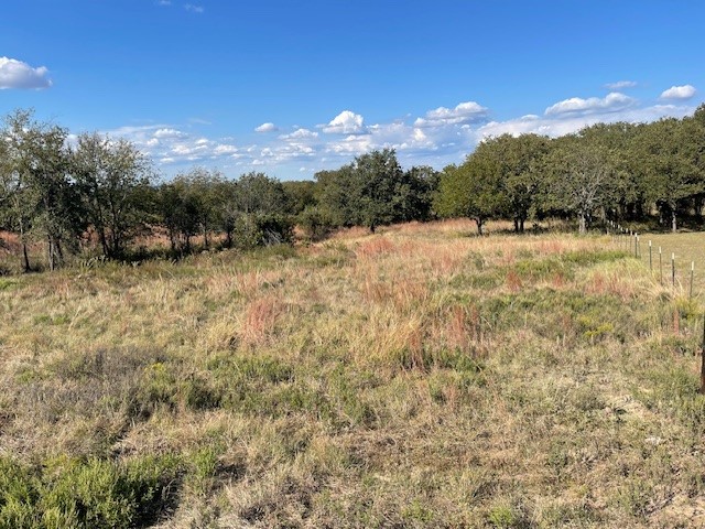 1150 Dps Tower Road #Lot 22 Perrin TX 76486