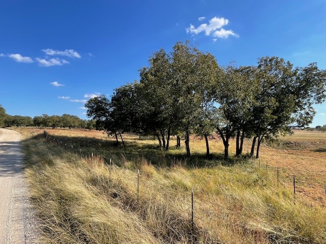 1150 Dps Tower Road #Lot 22 Perrin TX 76486