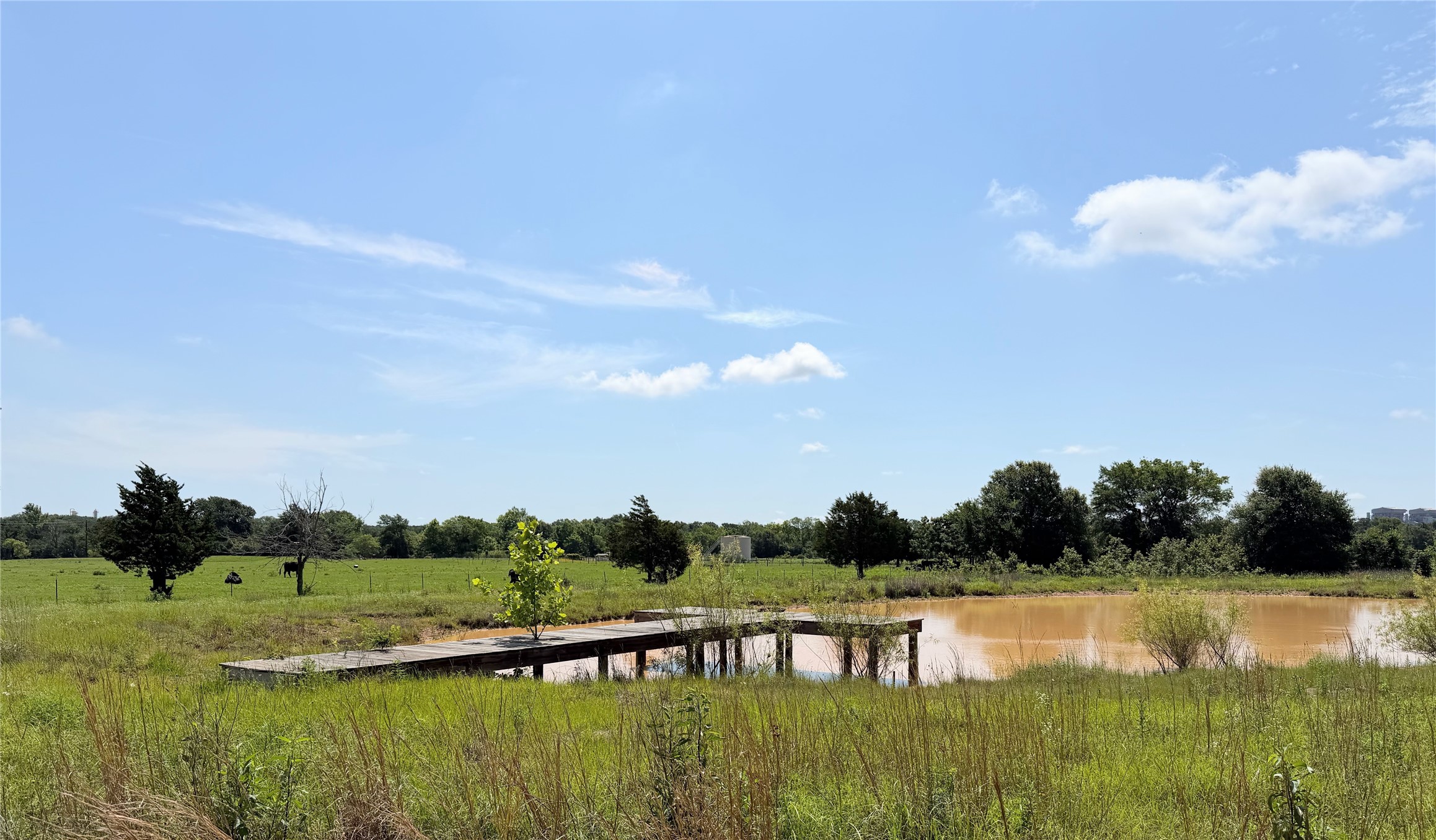 3 Acres Lcr 864 Jewett TX 75846