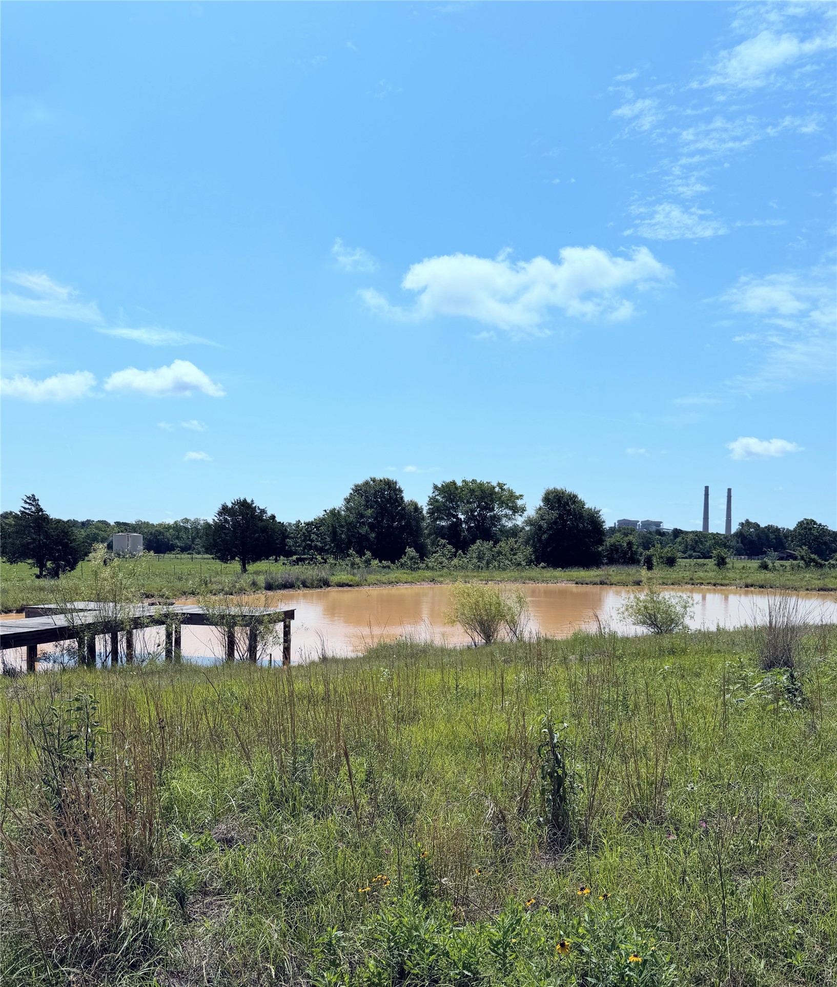 3 Acres Lcr 864 Jewett TX 75846