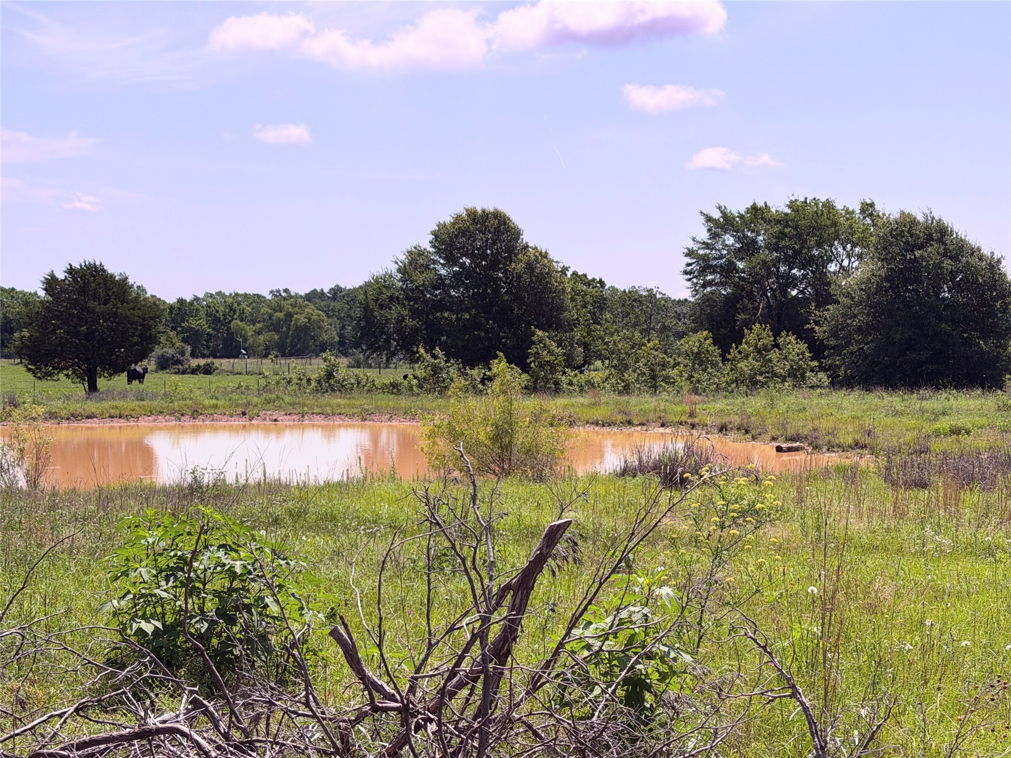 3 Acres Lcr 864 Jewett TX 75846