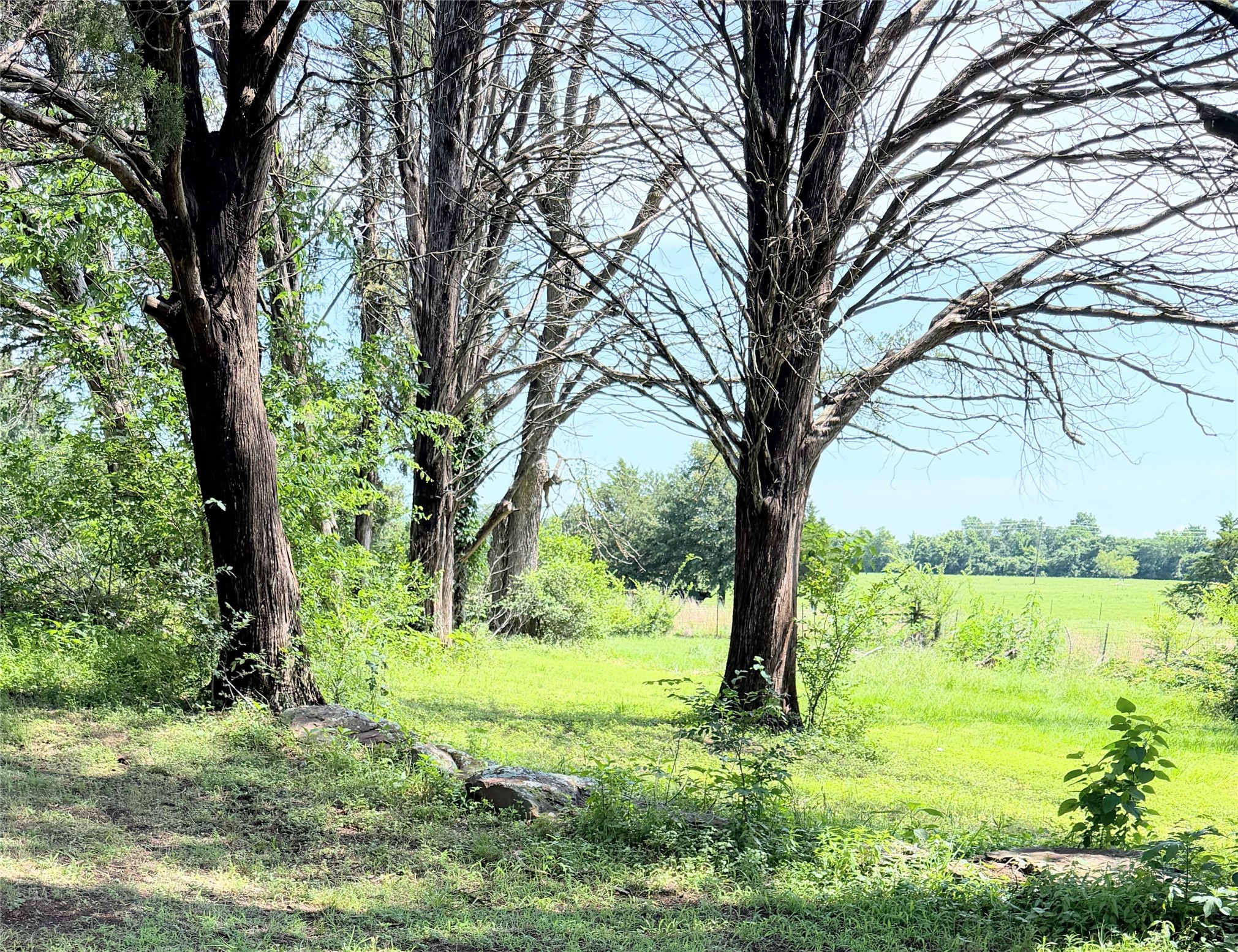 3 Acres Lcr 864 Jewett TX 75846