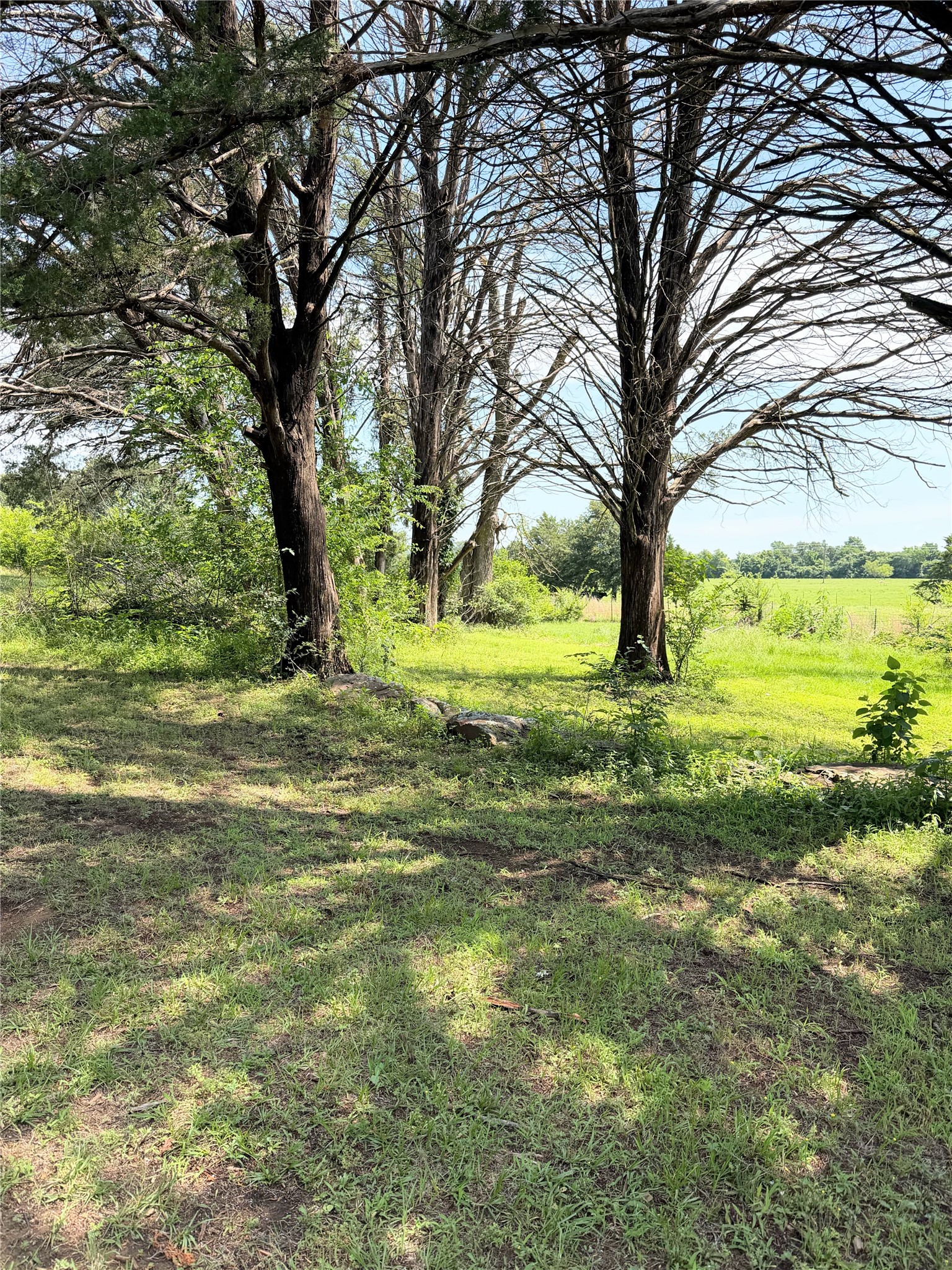3 Acres Lcr 864 Jewett TX 75846