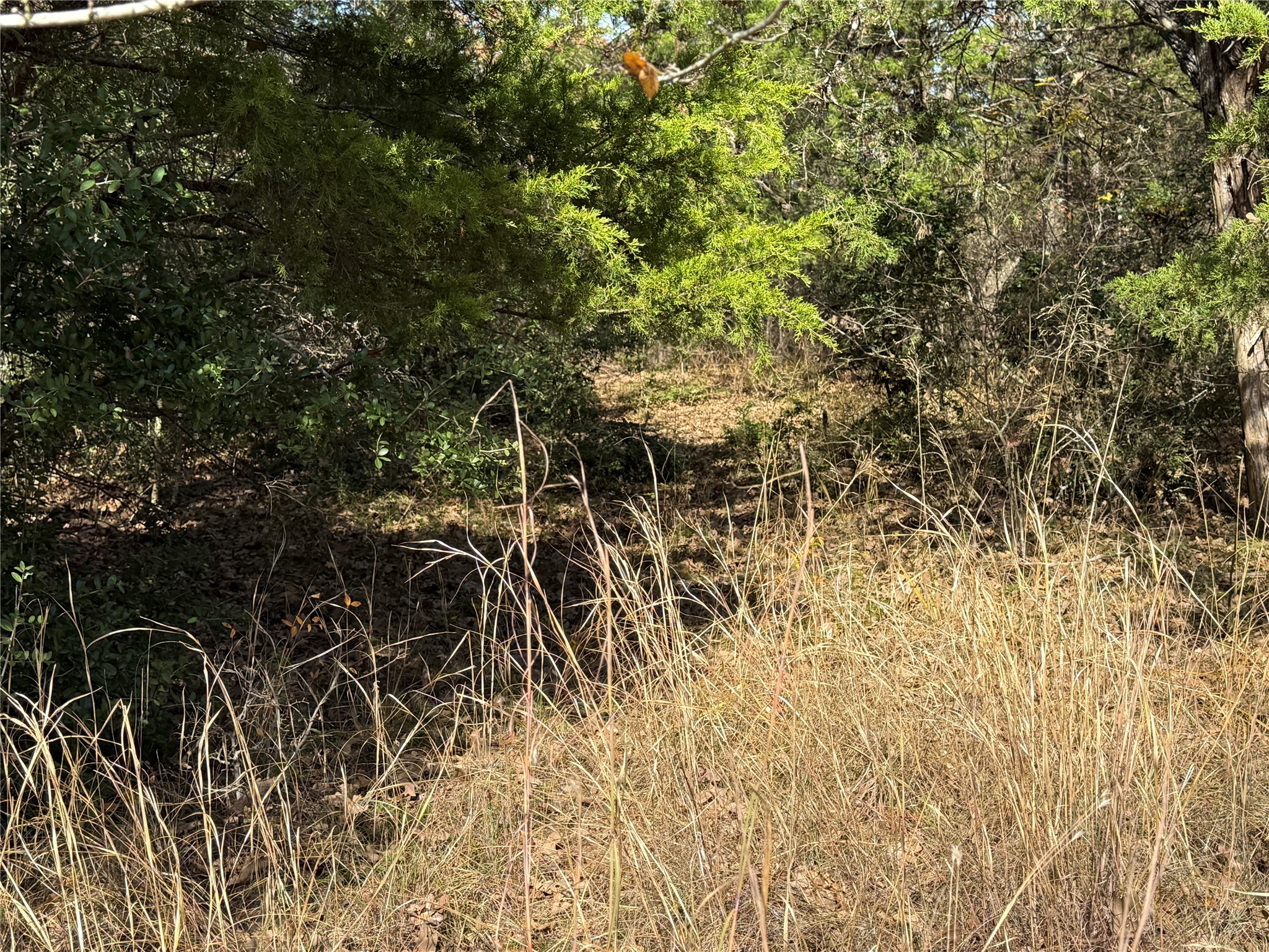 131 Lincoln Drive Streetman TX 75859