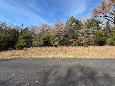 131 Lincoln Drive Streetman TX 75859