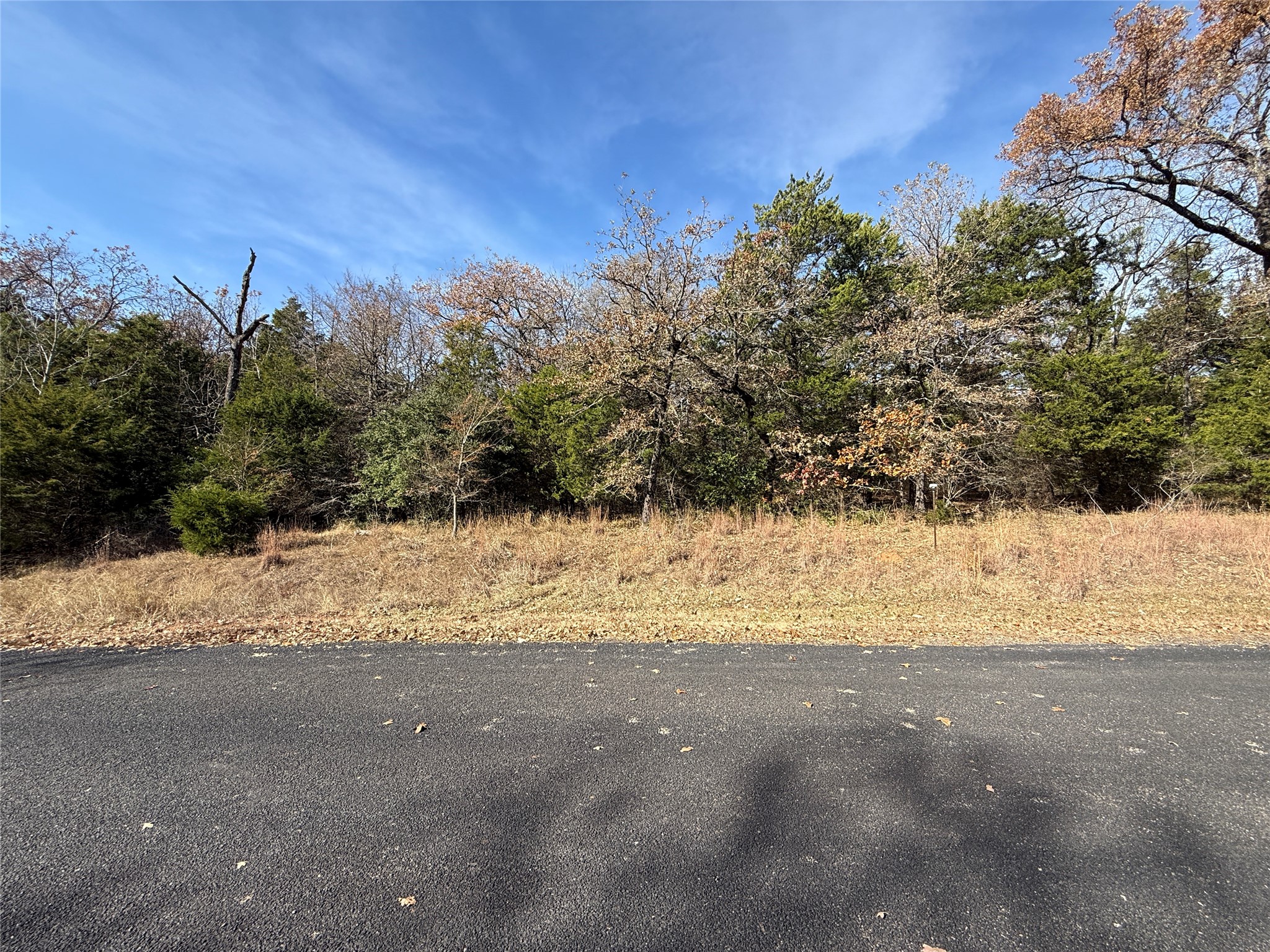 131 Lincoln Drive Streetman TX 75859