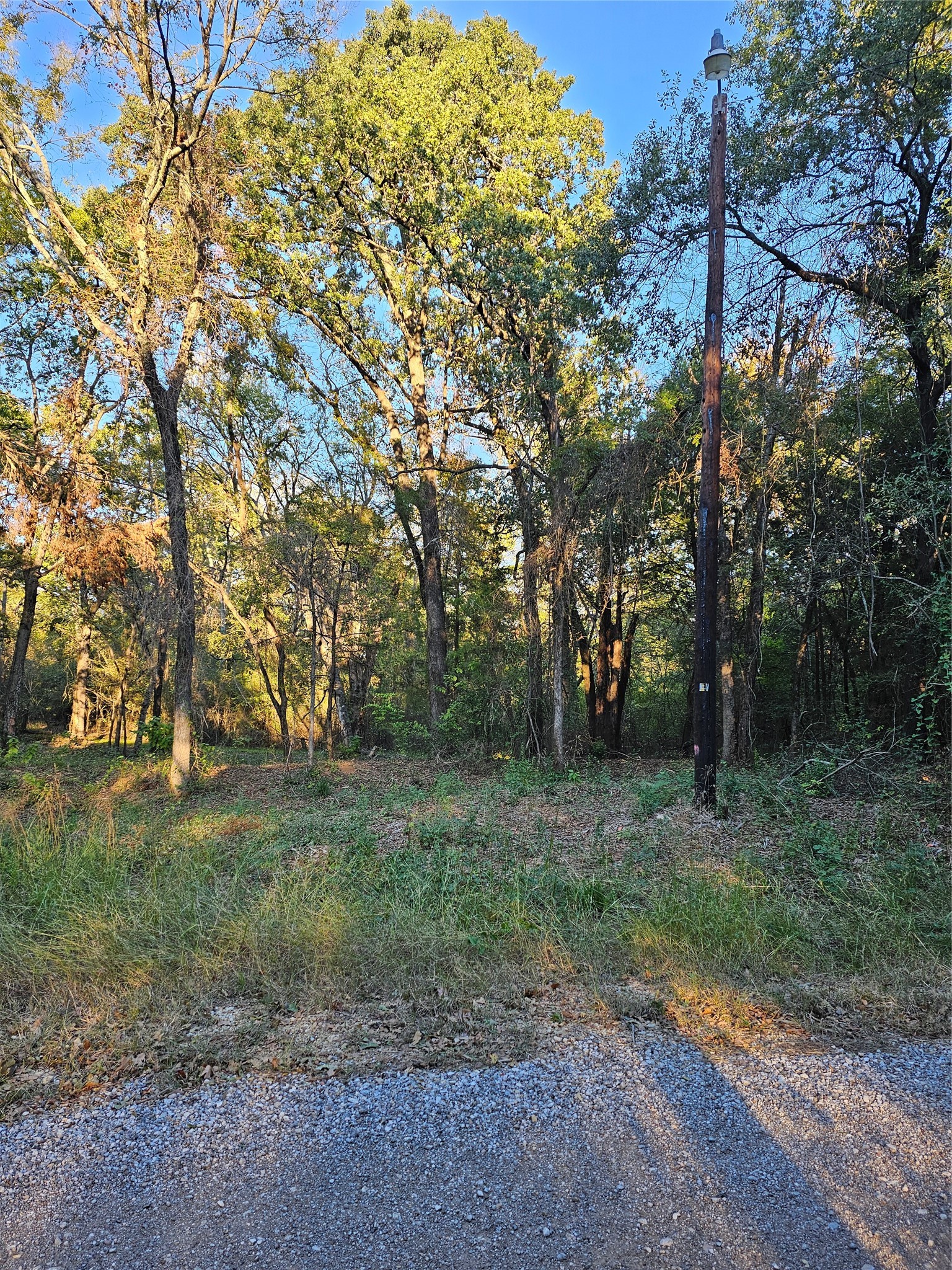 0 Ravenwood Drive Trinidad TX 75163
