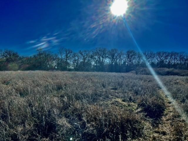10 Ac Fm 1753 Highway Bells TX 75021