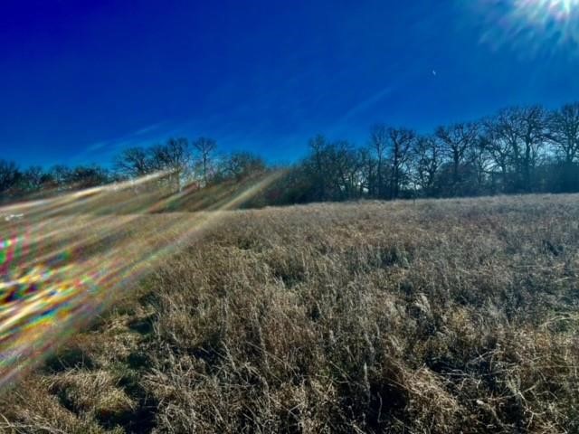 10 Ac Fm 1753 Highway Bells TX 75021