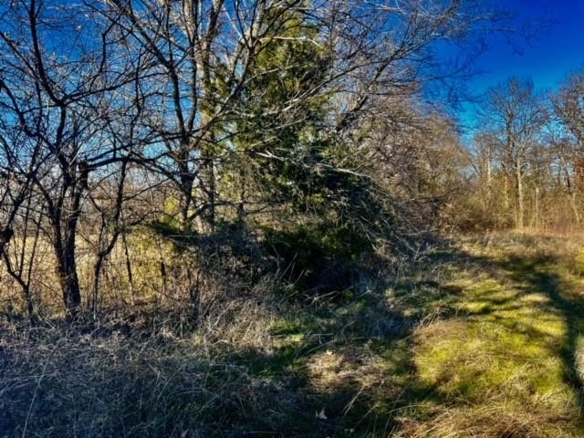 10 Ac Fm 1753 Highway Bells TX 75021