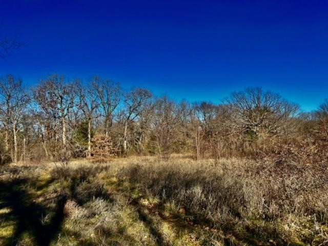 10 Ac Fm 1753 Highway Bells TX 75021
