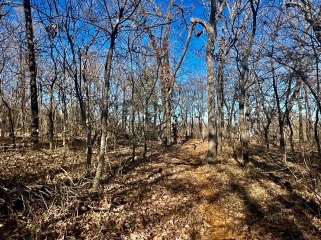 10 Ac Fm 1753 Highway Bells TX 75021