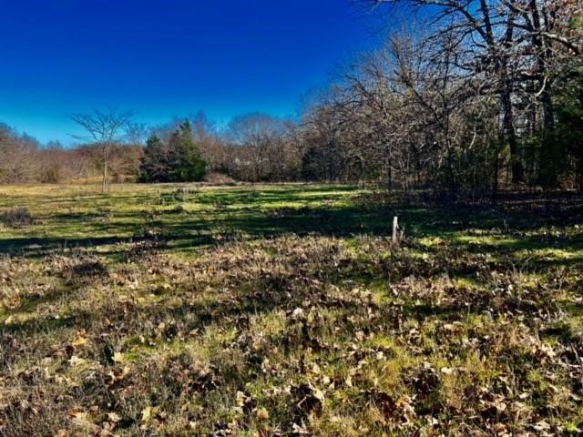 10 Ac Fm 1753 Highway Bells TX 75021