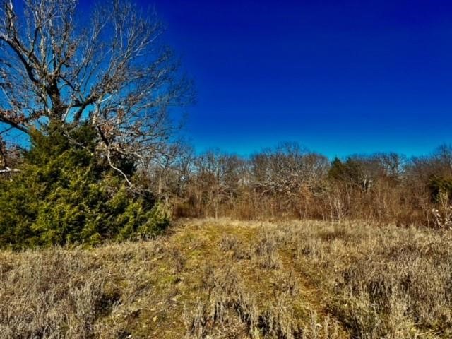 10 Ac Fm 1753 Highway Bells TX 75021