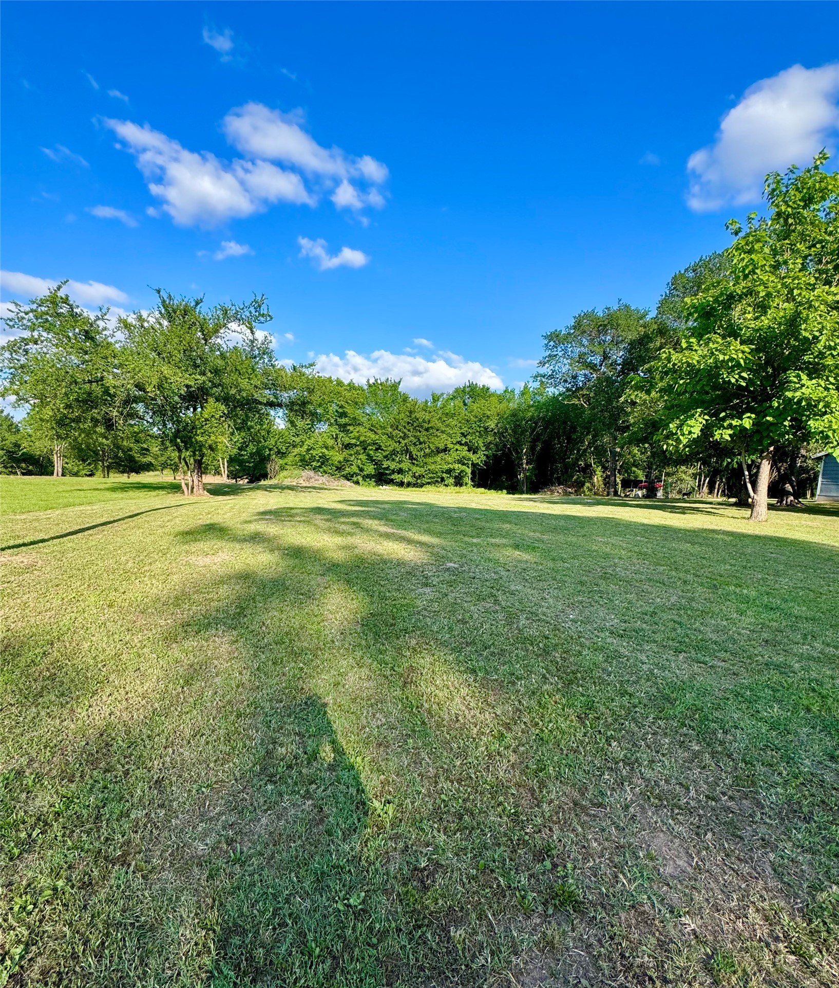 14576 Coffee Lane Scurry TX 75158