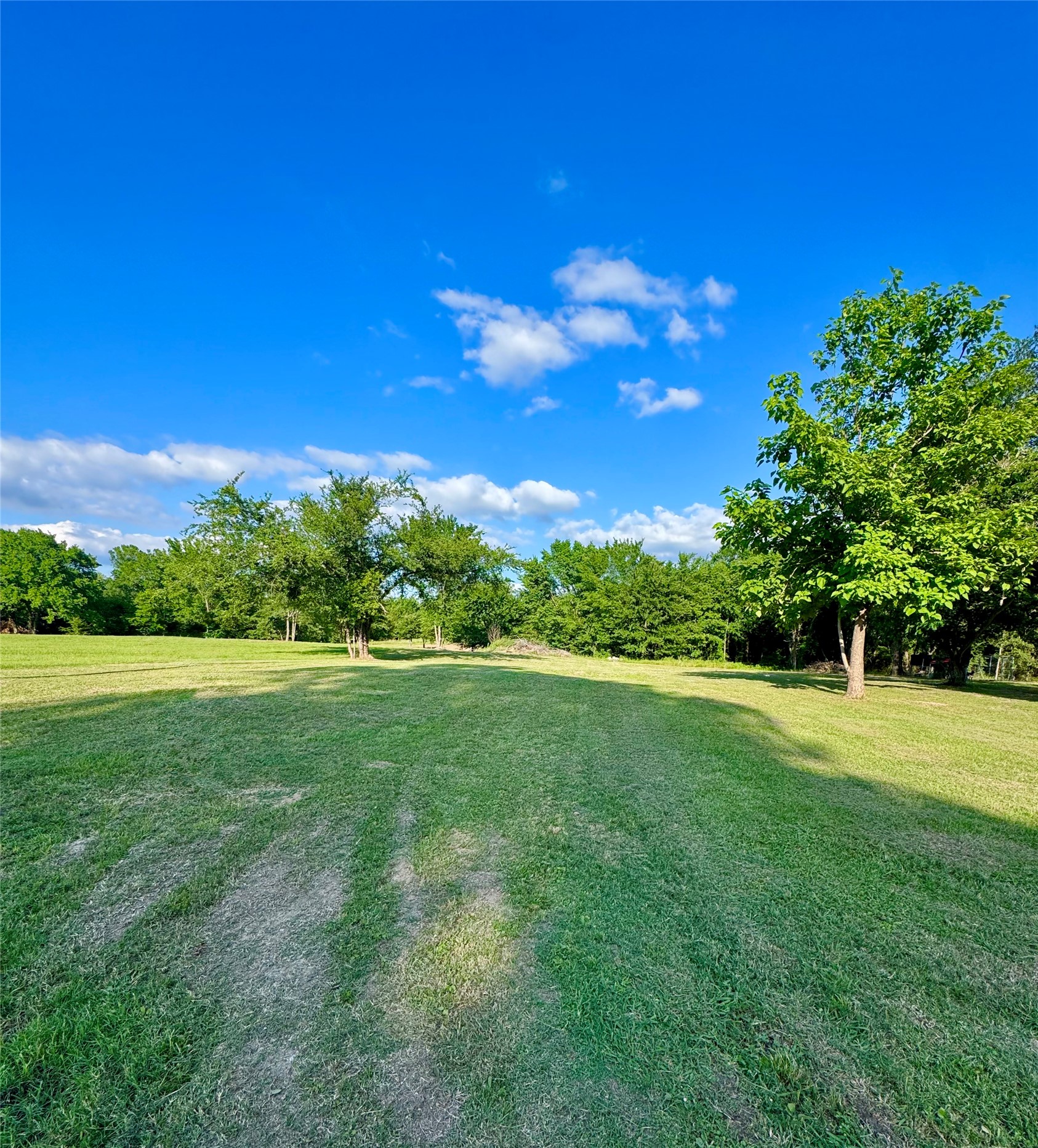 14576 Coffee Lane Scurry TX 75158