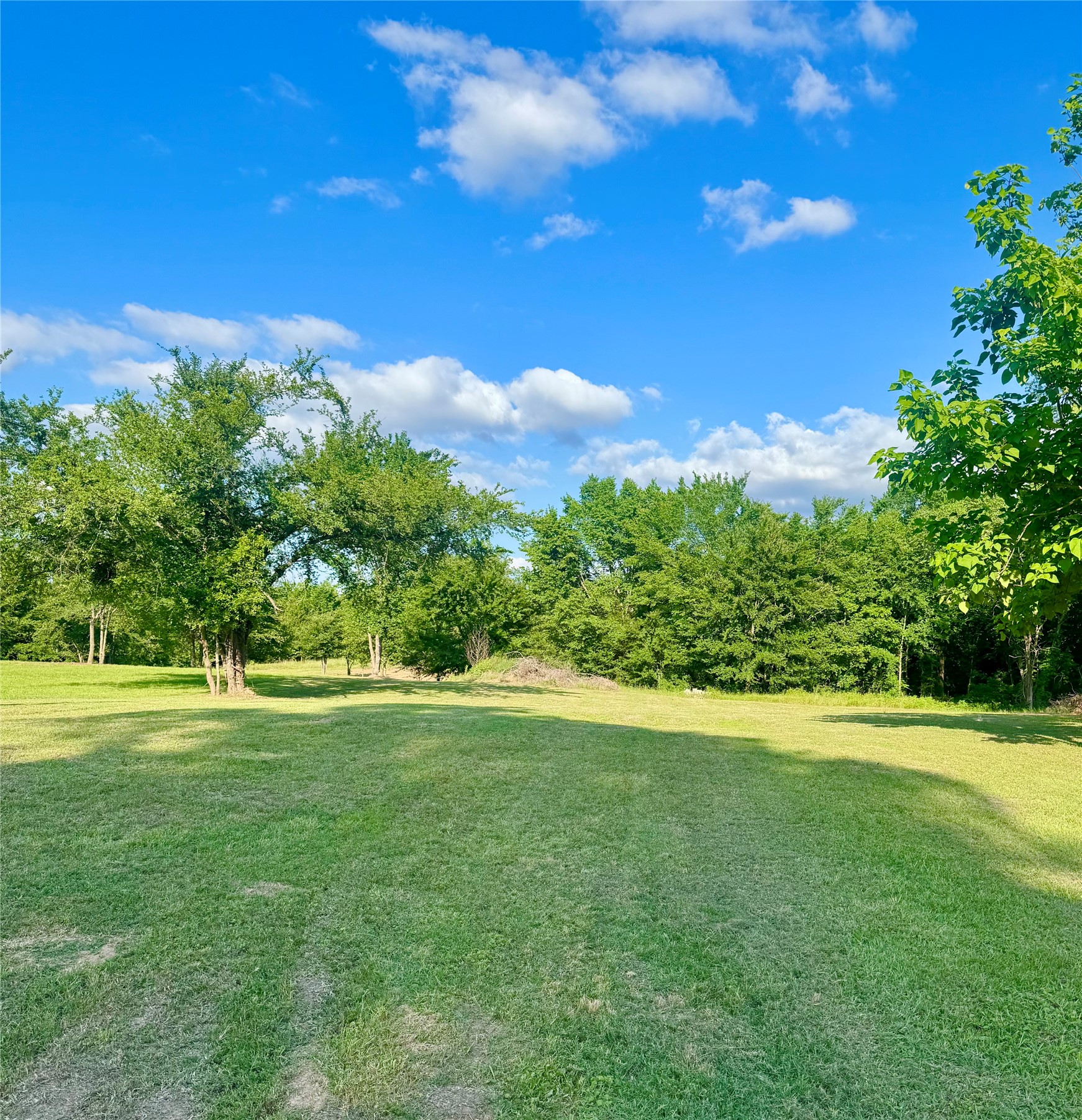 14576 Coffee Lane Scurry TX 75158