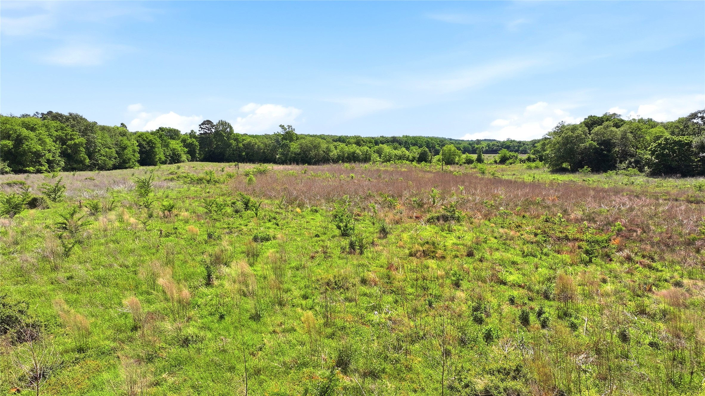 4091 County Road 2206 Rusk TX 75785