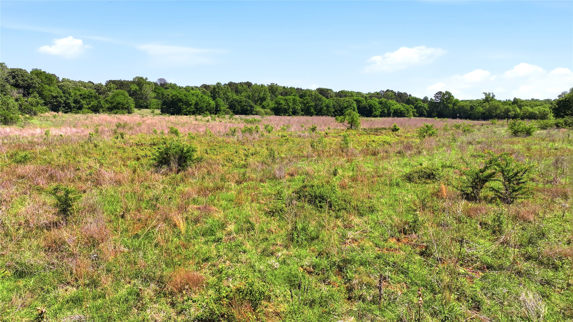 4091 County Road 2206 Rusk TX 75785