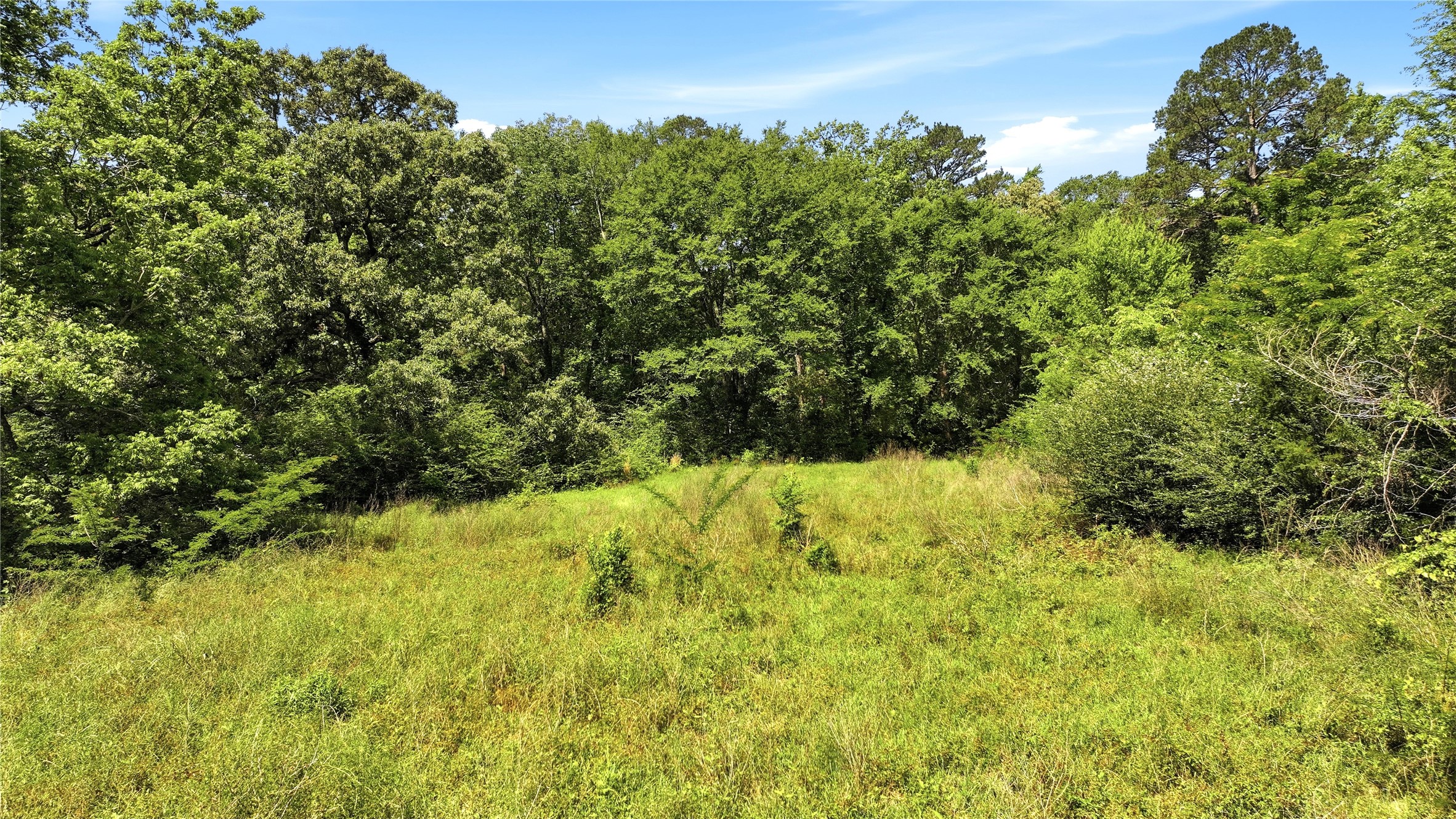 4091 County Road 2206 Rusk TX 75785