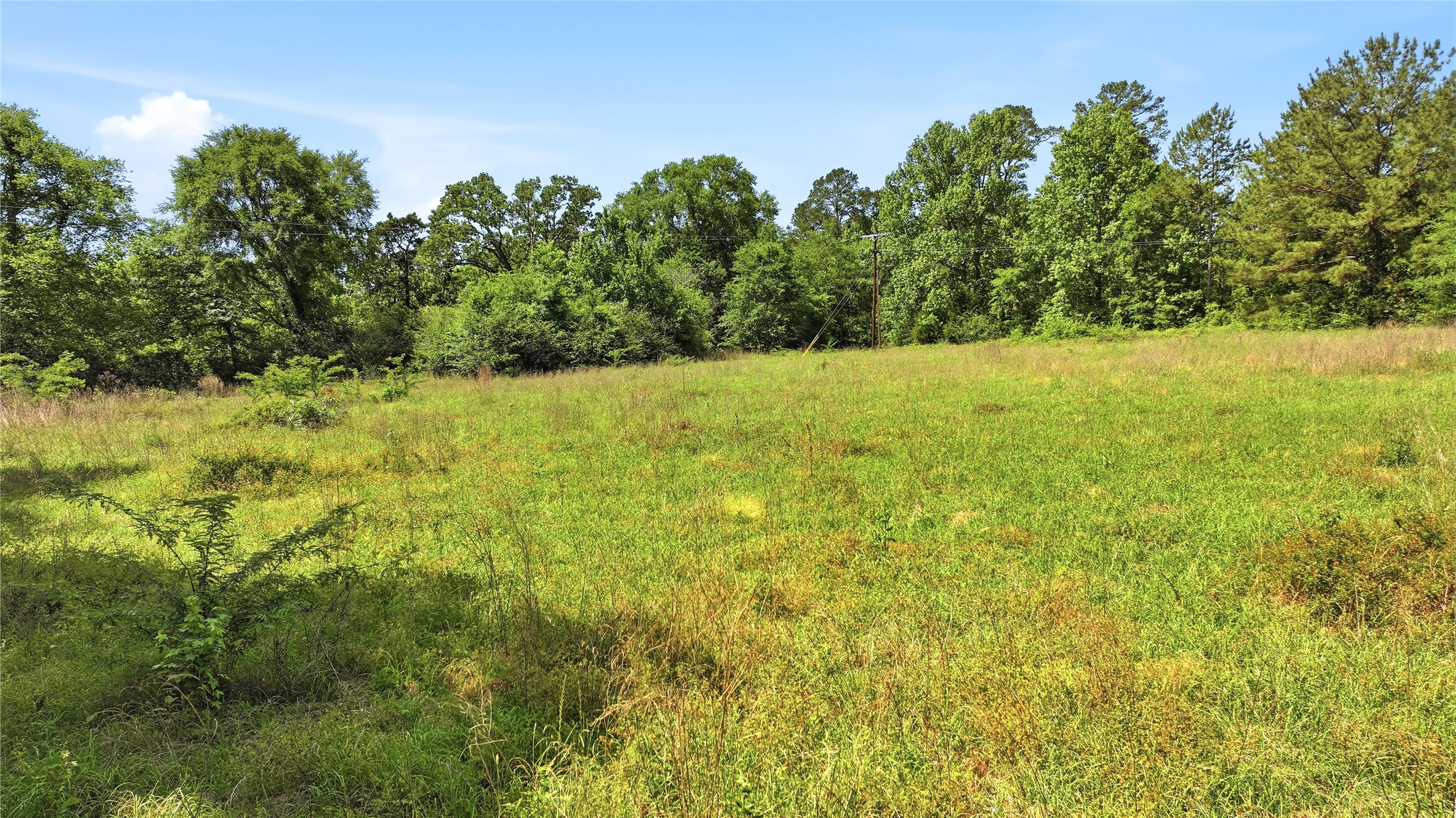 4091 County Road 2206 Rusk TX 75785
