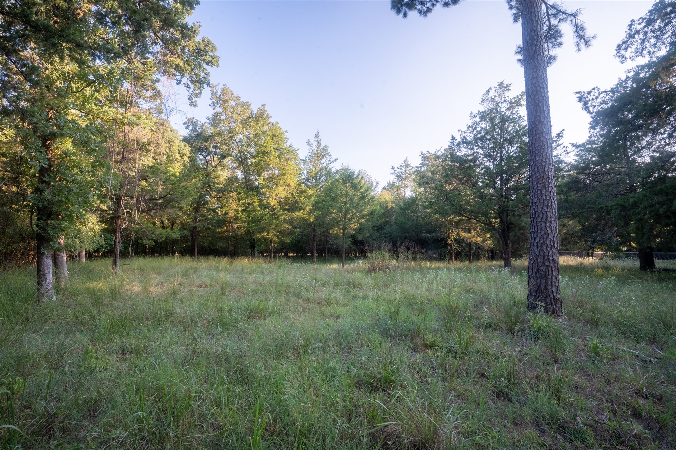 Lots 2, 3, 47 & 48 Kings Country Boulevard Scroggins TX 75480