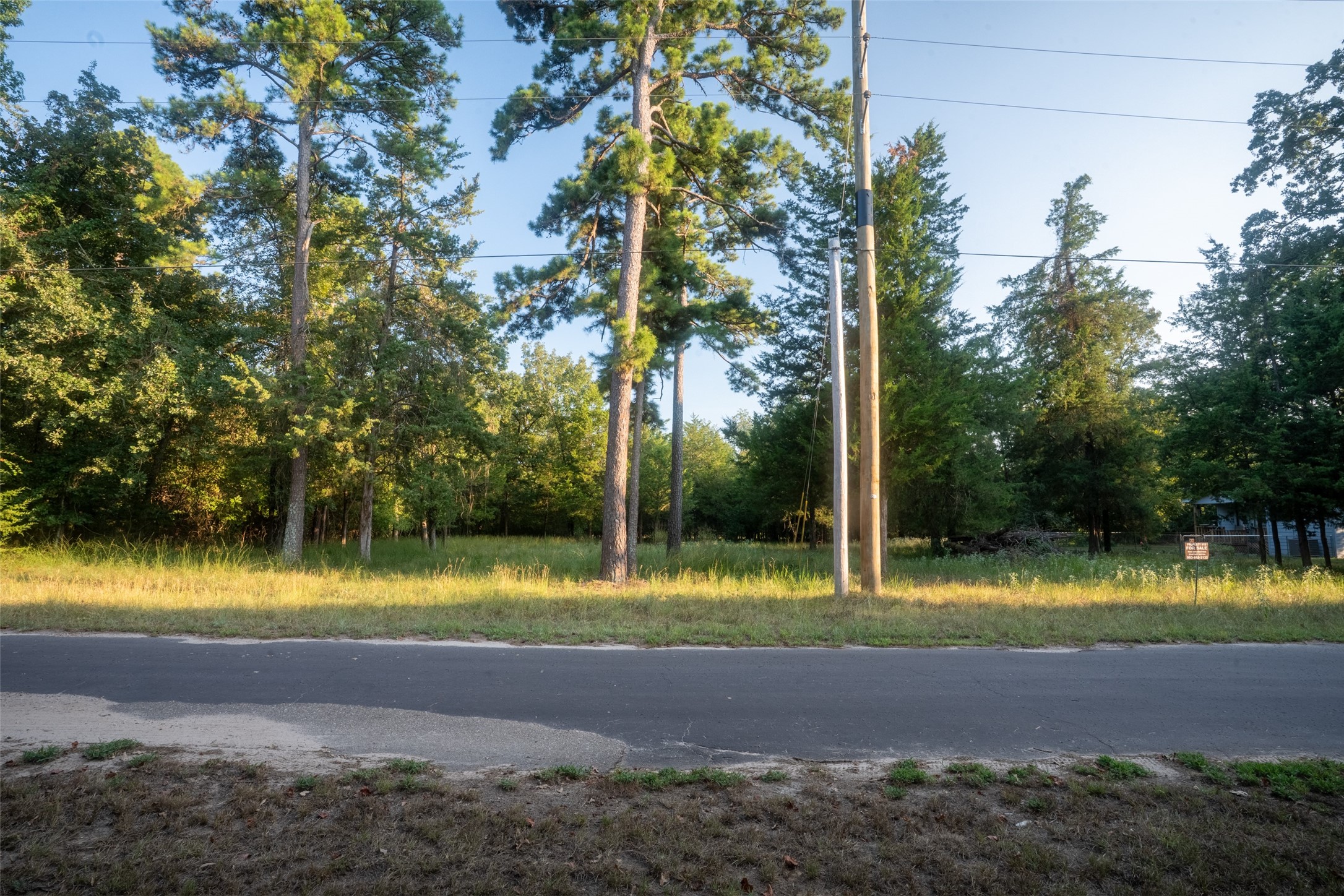Lots 2, 3, 47 & 48 Kings Country Boulevard Scroggins TX 75480
